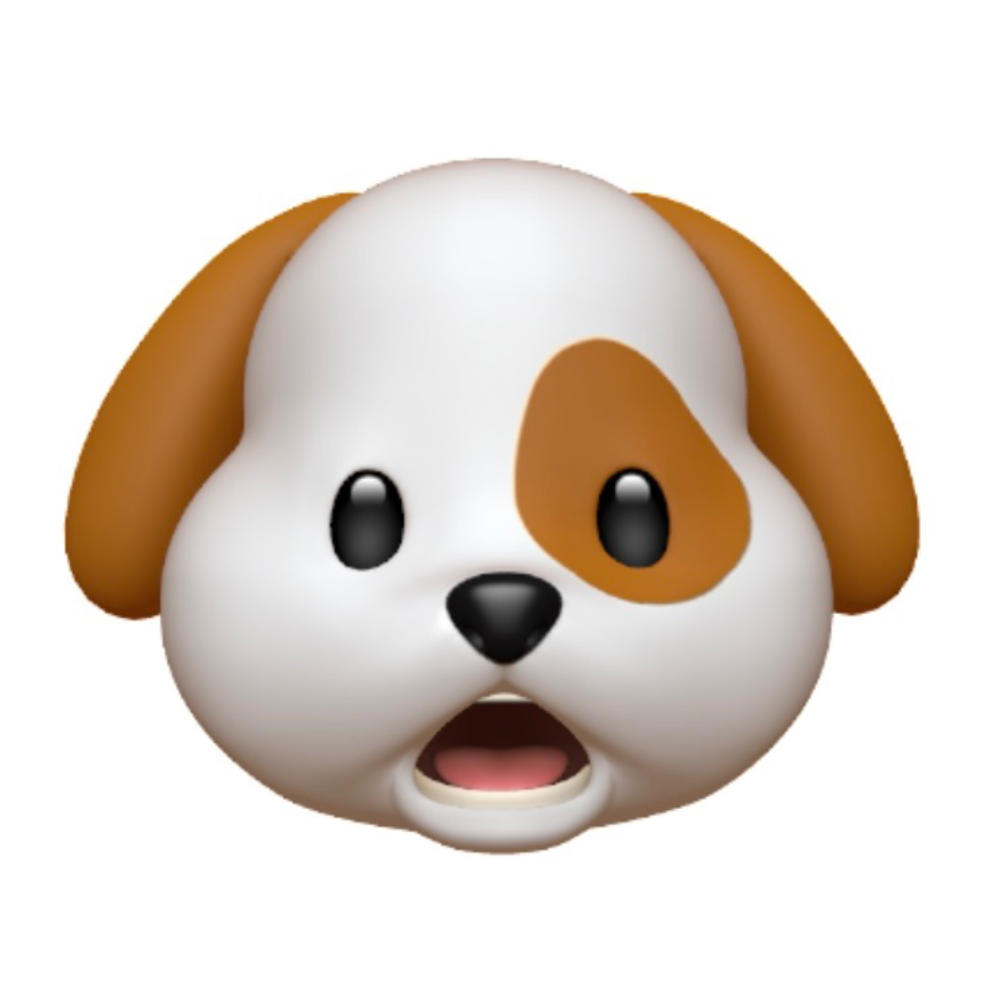 관심 유저 프로필 이미지