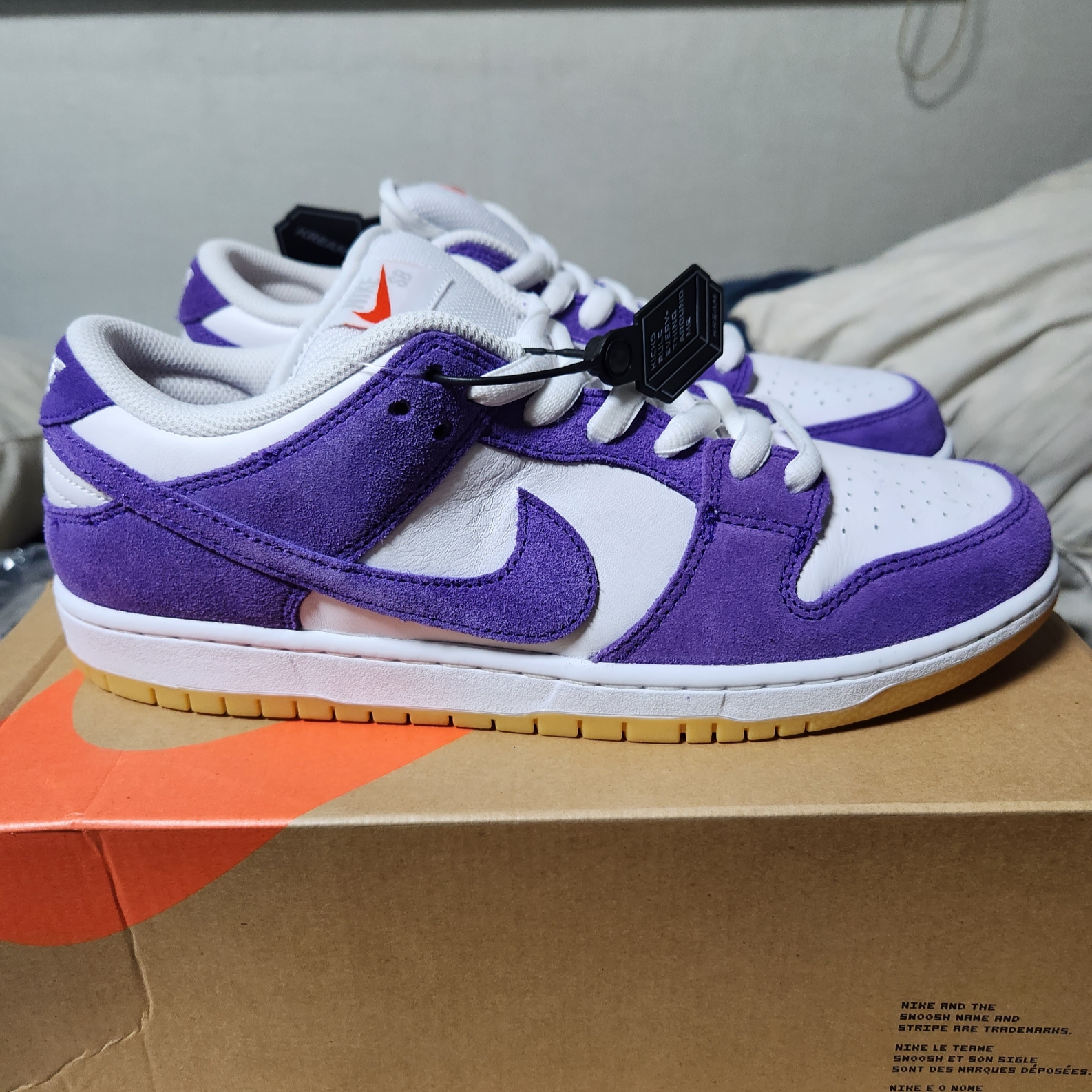 Nike Dunk Low Pro SB Court Purple 착용 스타일