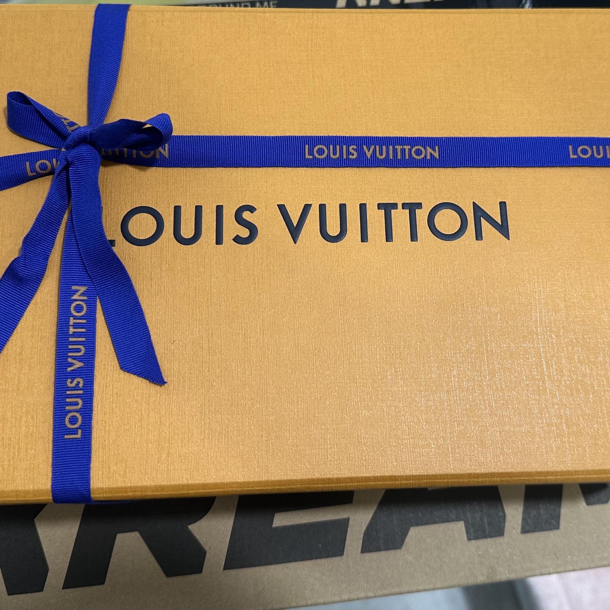Louis Vuitton Nano Speedy Monogram 착용 스타일 - 1