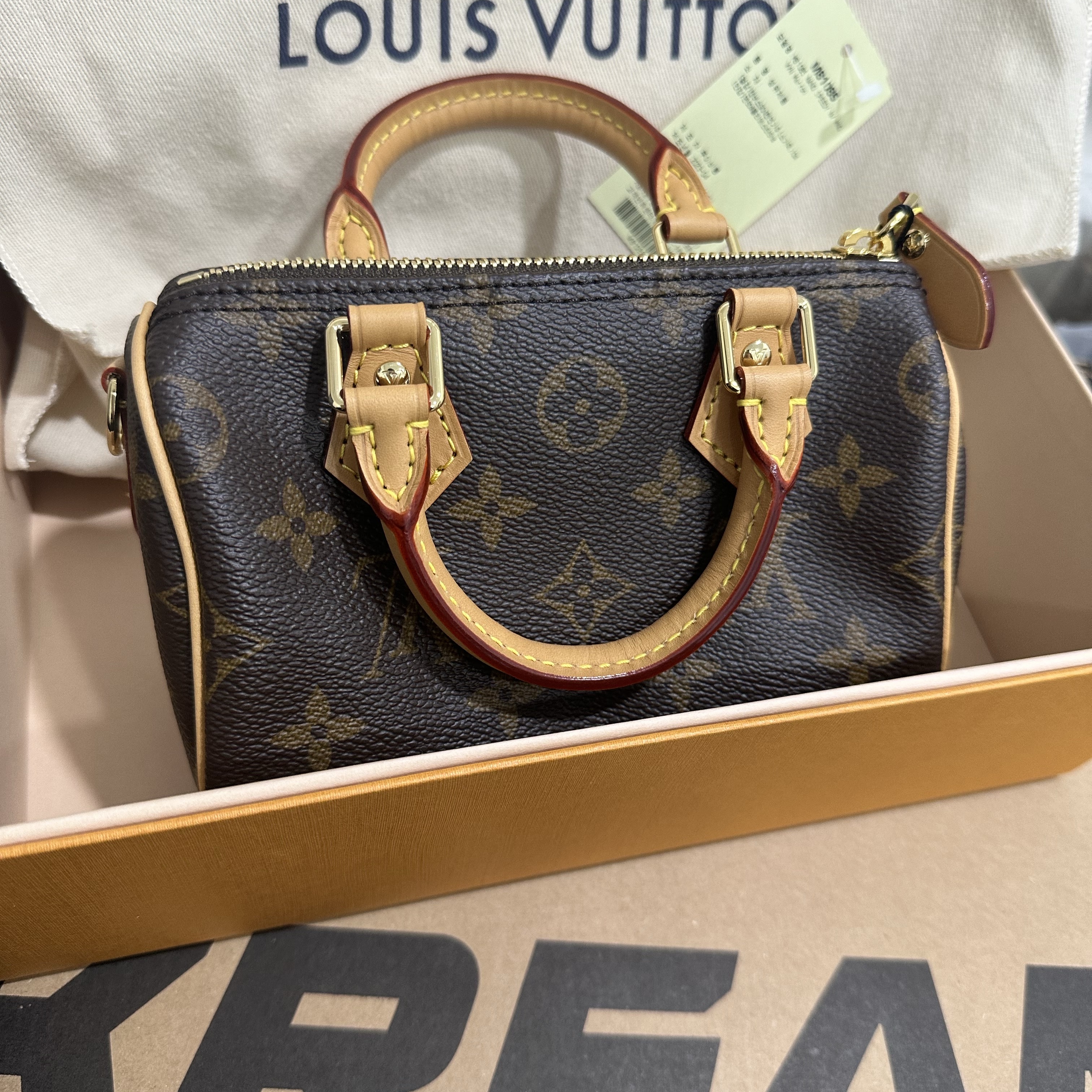 Louis Vuitton Nano Speedy Monogram 착용 스타일 - 2