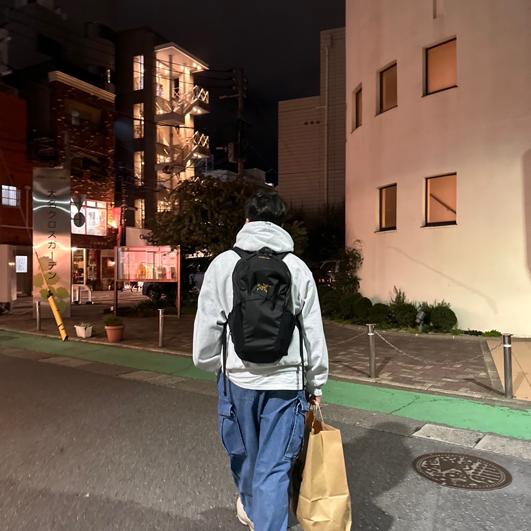 Supreme Box Logo Hooded Sweatshirt Ash Grey - 23FW, Arc'teryx Mantis 16 Backpack Black 착용 스타일 - 1