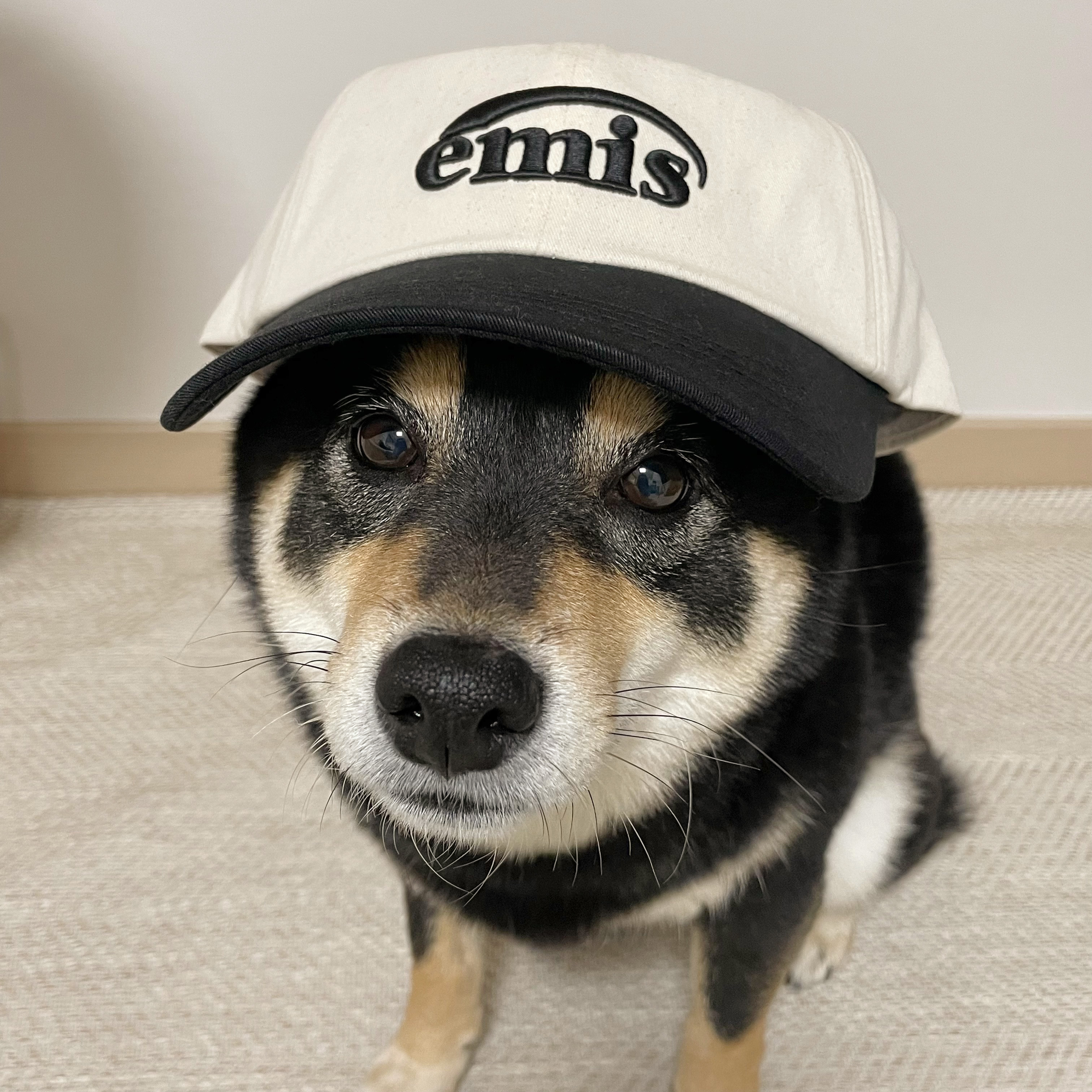 Emis New Logo Ball Cap Two Tone Black 착용 스타일