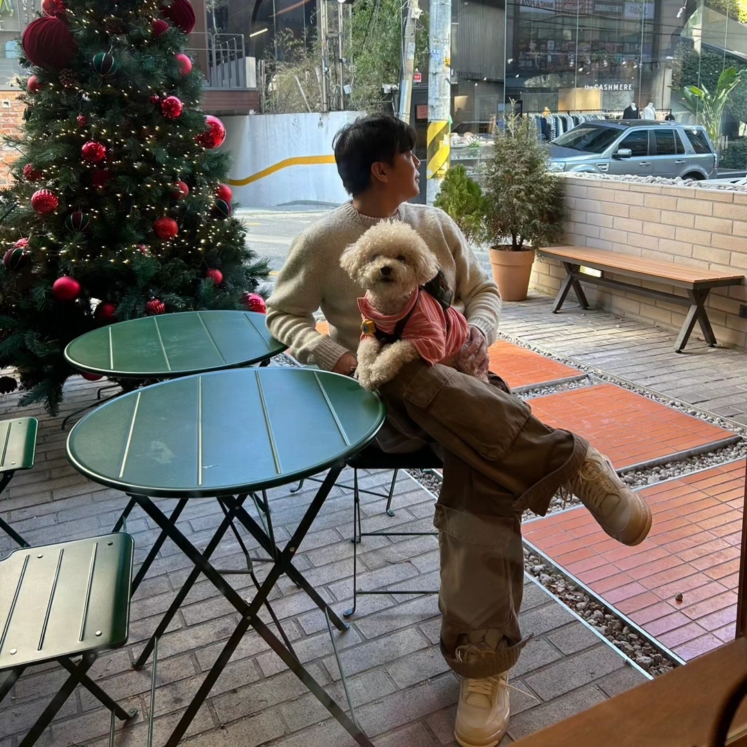 Stussy 8 Ball Heavy Brushed Mohair Sweater Cream, Zara Utility Cargo Jeans Dark Sand 착용 스타일 - 3