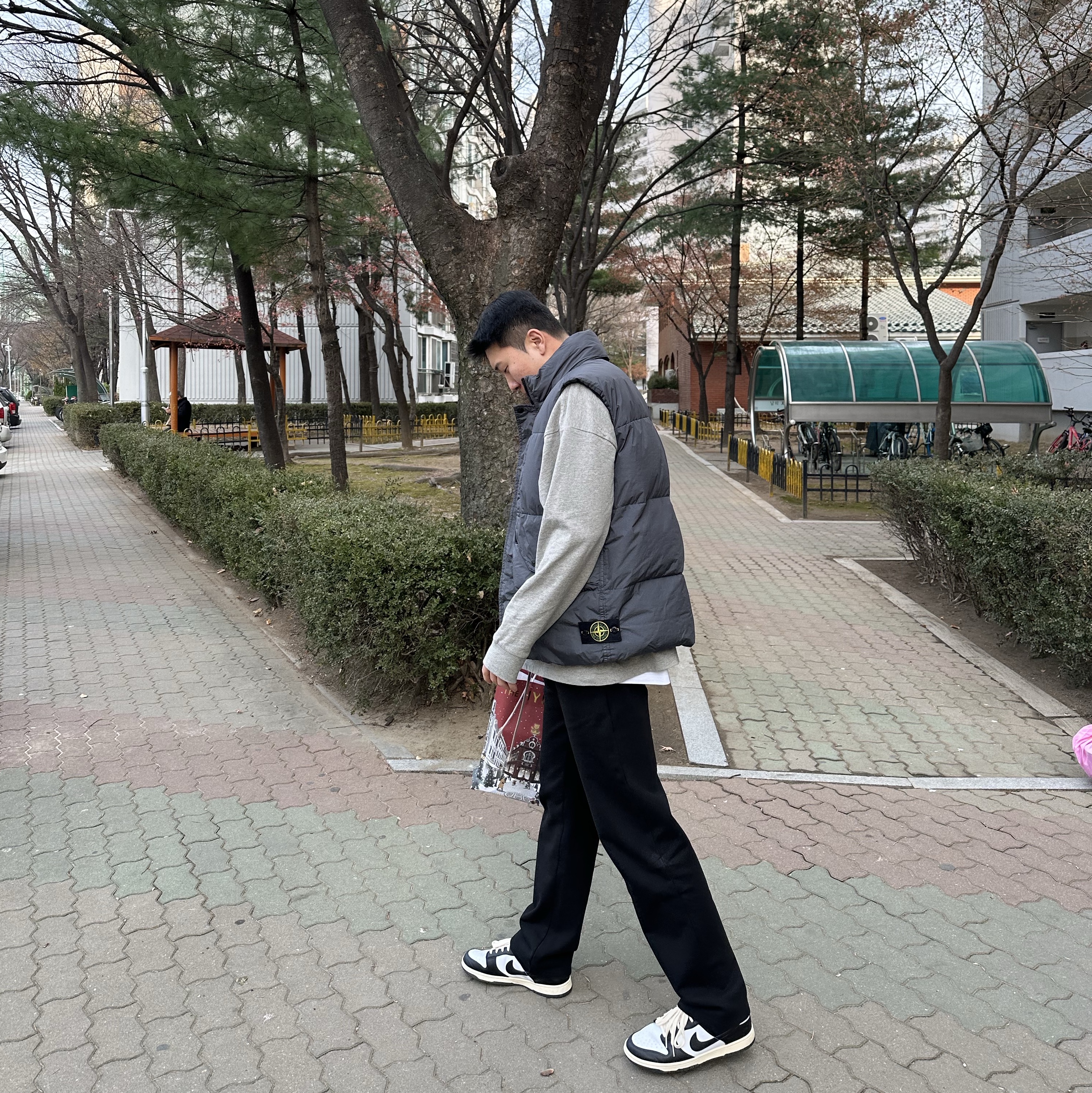 Stone Island G0423 Garment Dyed Crinkle Reps Recycled Nylon Down Vest Lead - 23FW, Nike Dunk Low Retro Black 착용 스타일