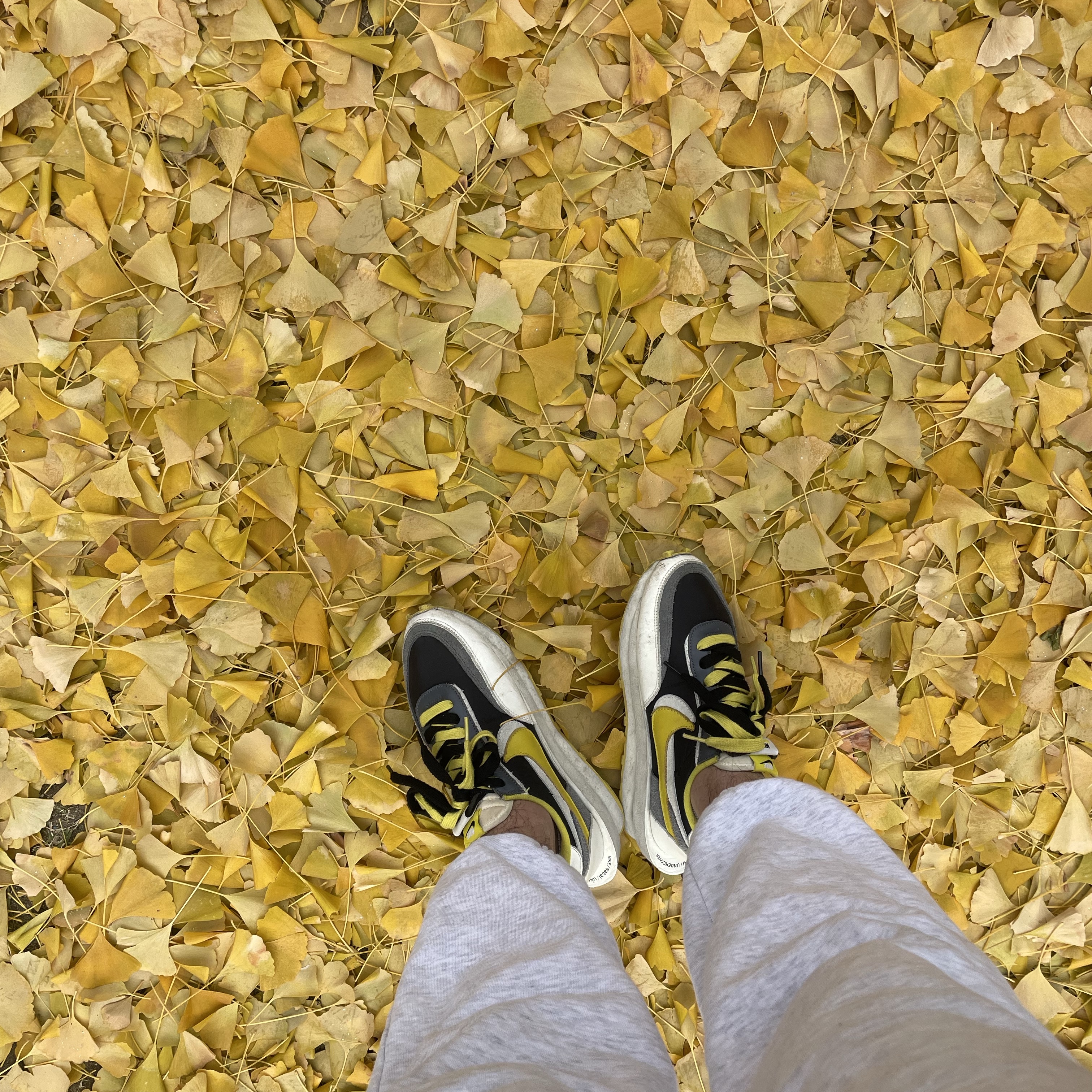 Nike x Sacai x Undercover LDWaffle Black Bright Citron 착용 스타일