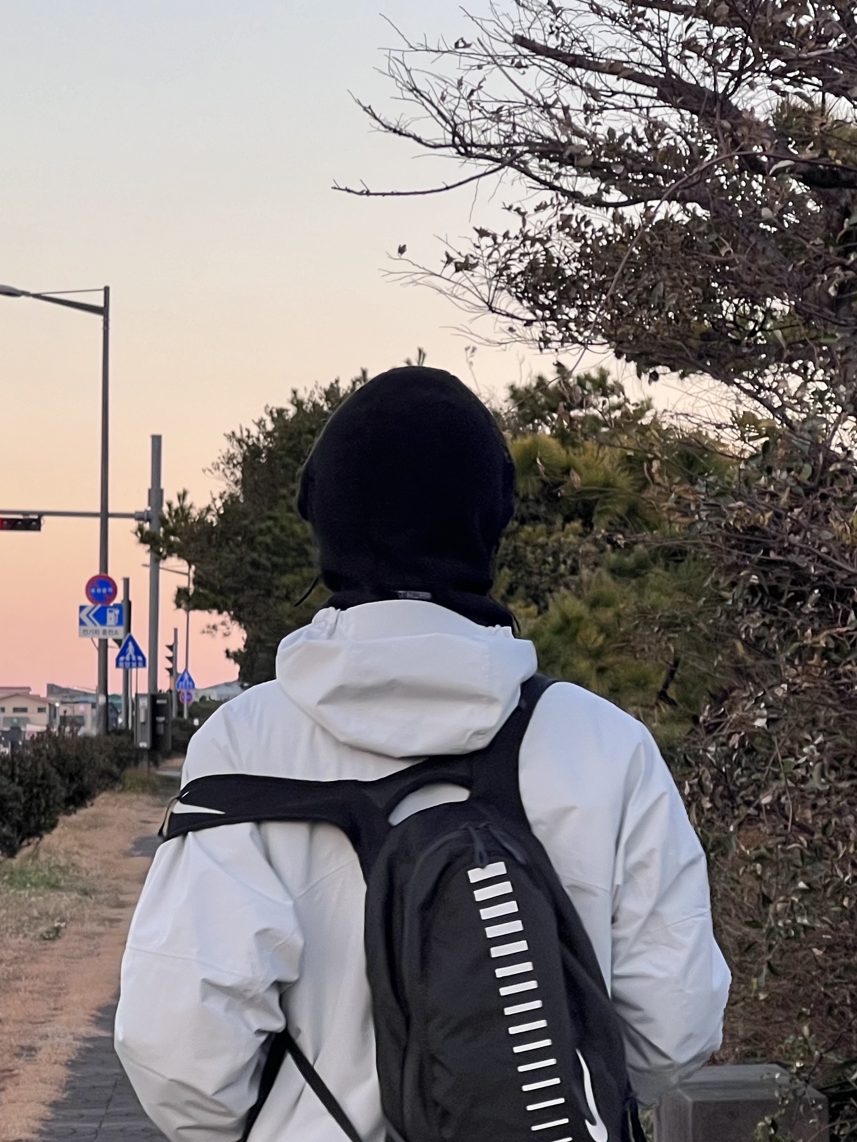 Nike ACG Storm-Fit ADV Cascade Rains Full Zip Jacket Photon Dust - Asia, IAB Studio x Thor Balaclava Black 착용 스타일 - 1