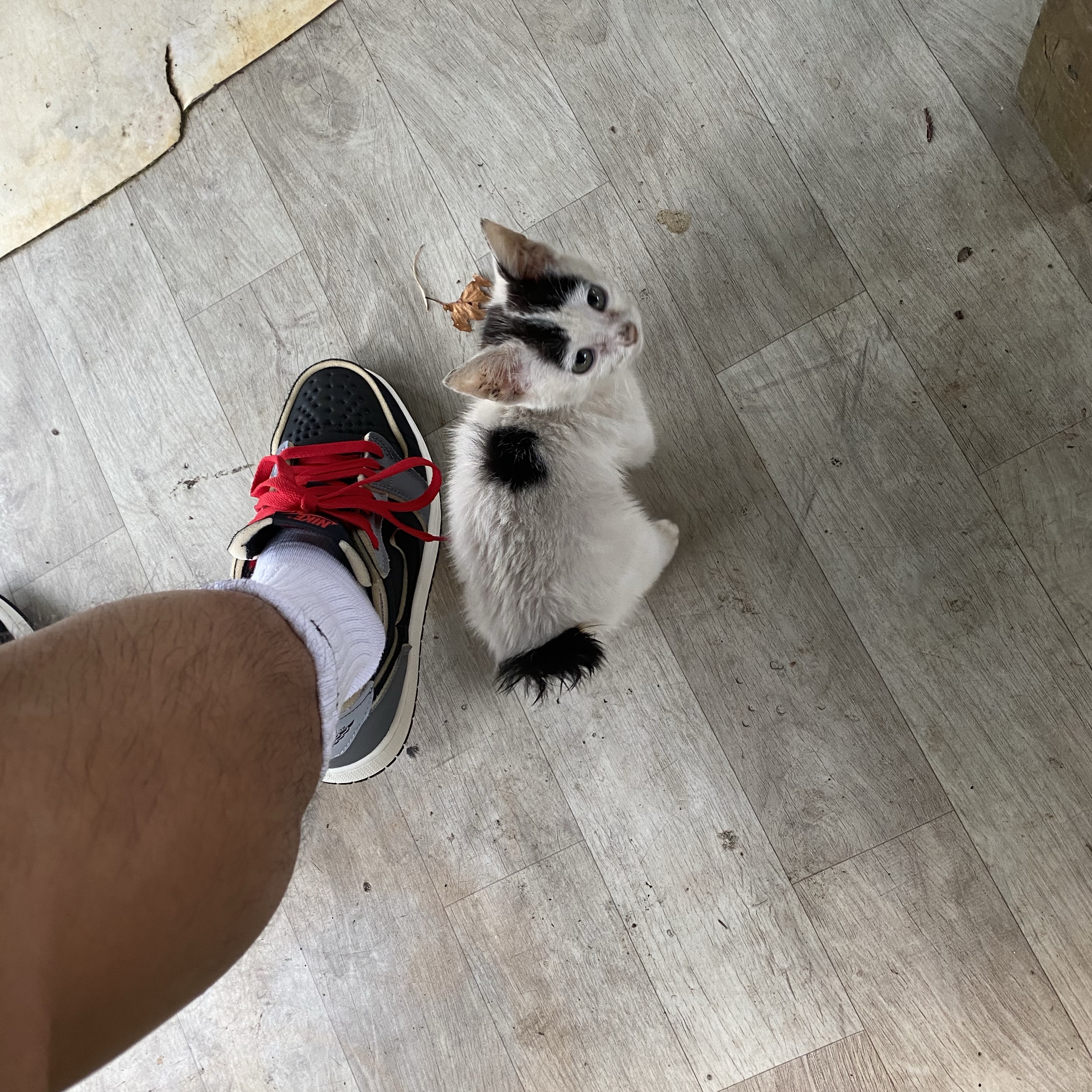 (GS) Jordan 1 Low SE Pale Vanilla 착용 스타일