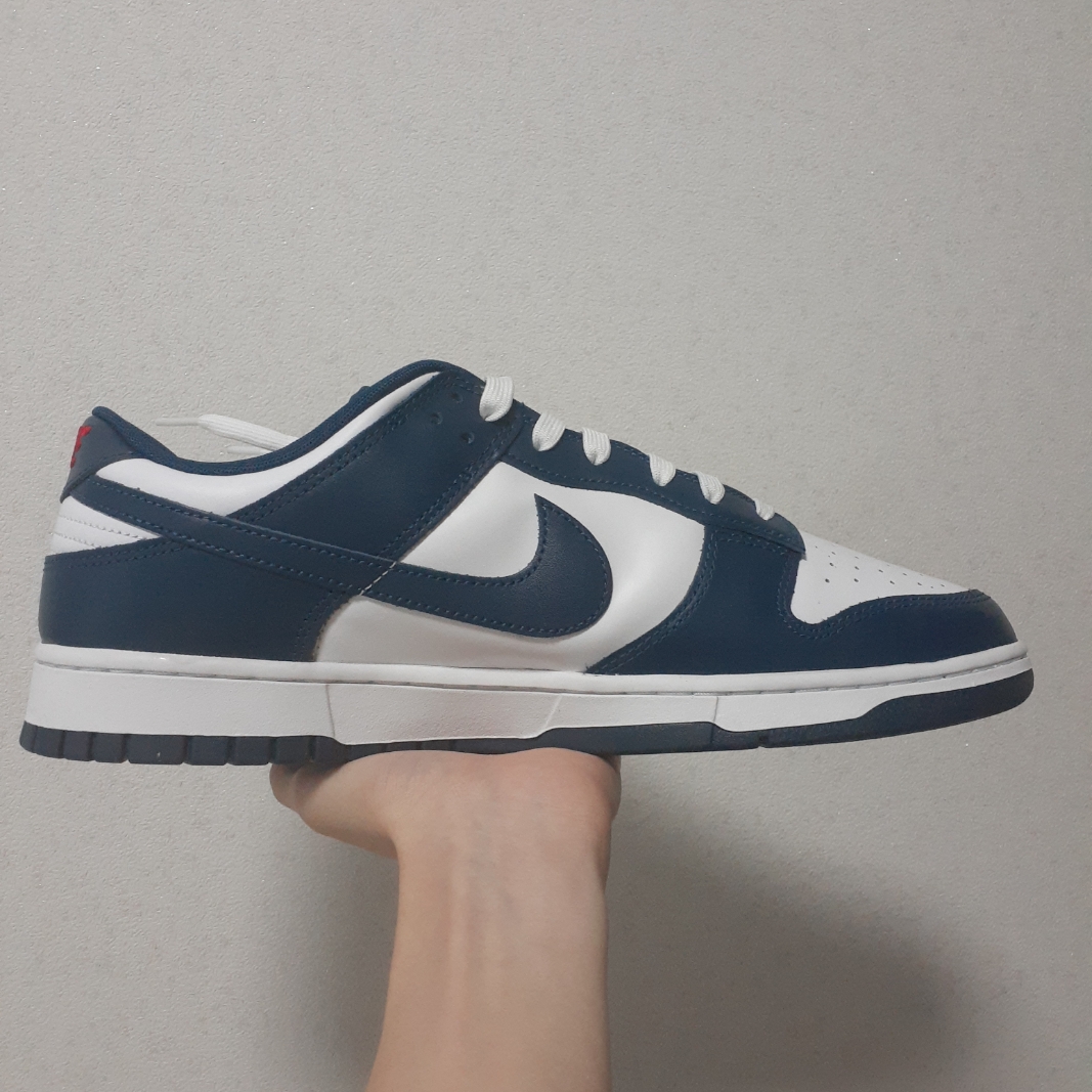 Nike Dunk Low Retro Valerian Blue 착용 스타일