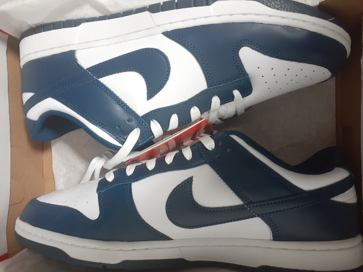 Nike Dunk Low Retro Valerian Blue 착용 스타일