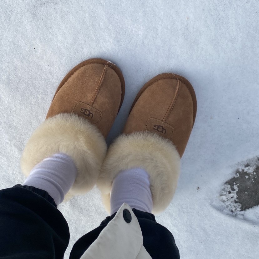 (W) UGG Coquette Slipper Chestnut 착용 스타일