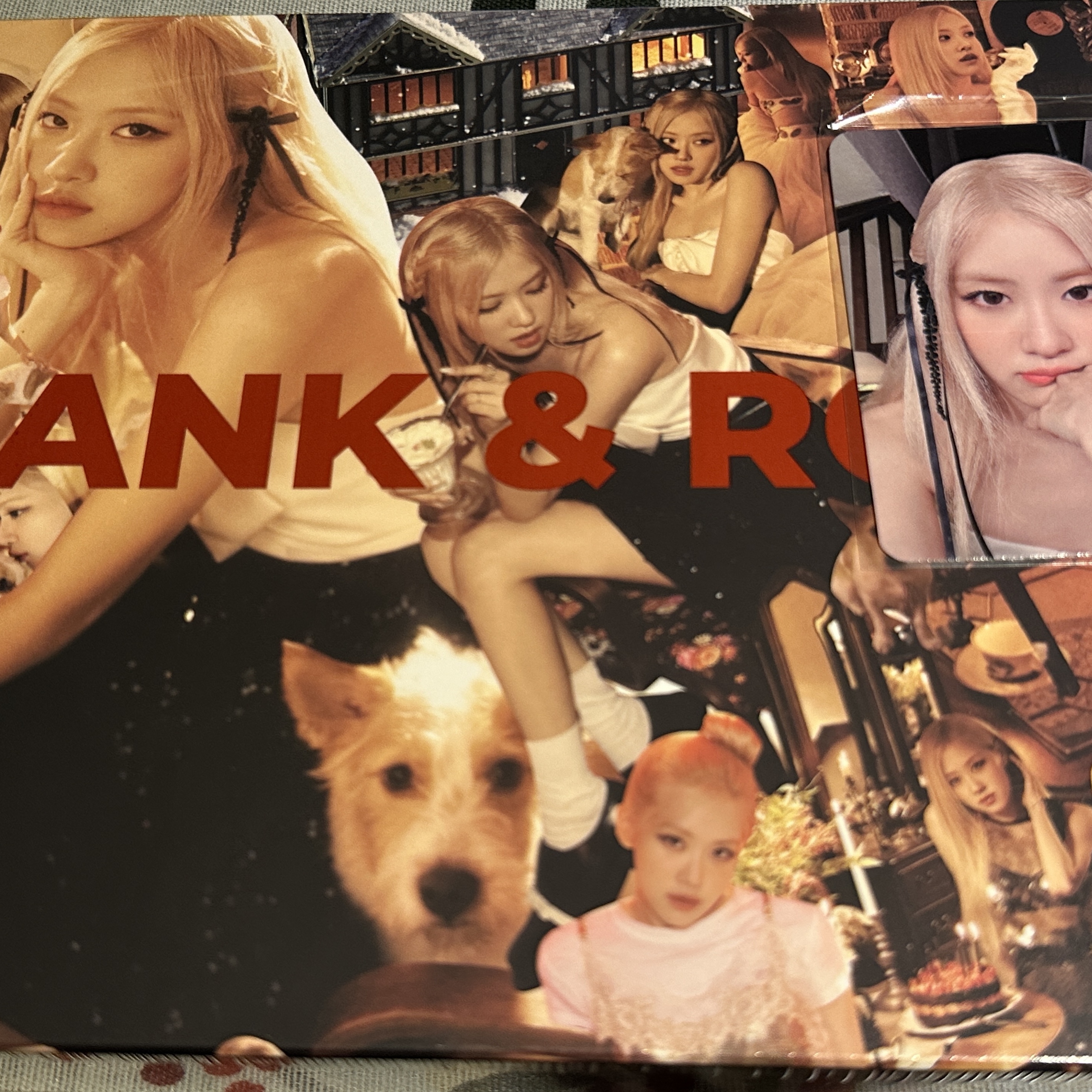 Rose From Hank & Rose To You Seasons's Greetings 2024 착용 스타일 - 2