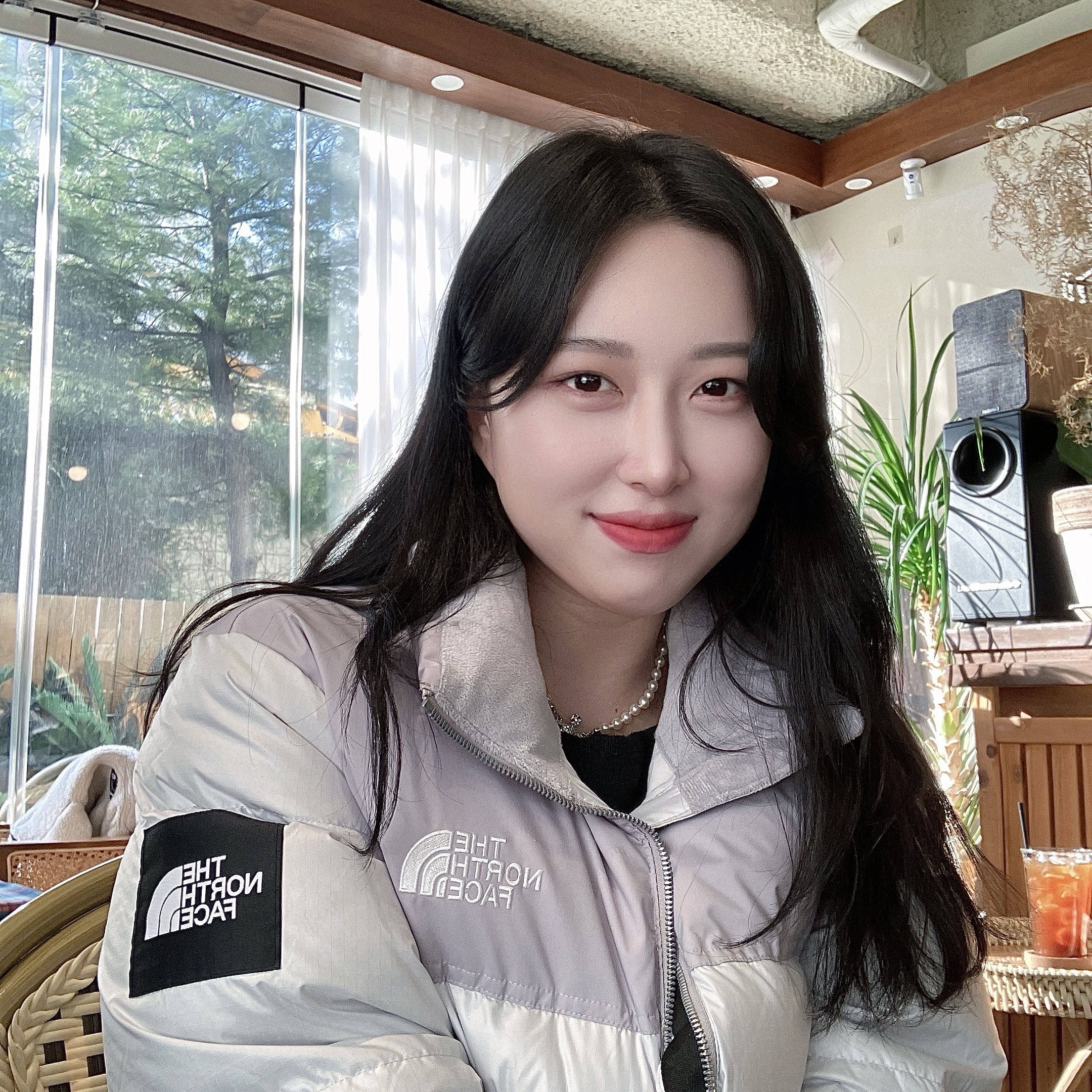 Vivienne Westwood Mini Bas Relief Choker Silver, (W) The North Face White Label Novelty Nuptse Down Jacket Ice Gray 착용 스타일