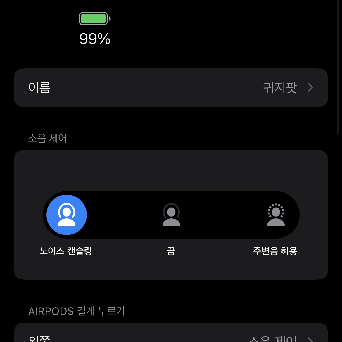 Apple AirPods Pro with MagSafe Charging Case (Korean Ver.) 착용 스타일