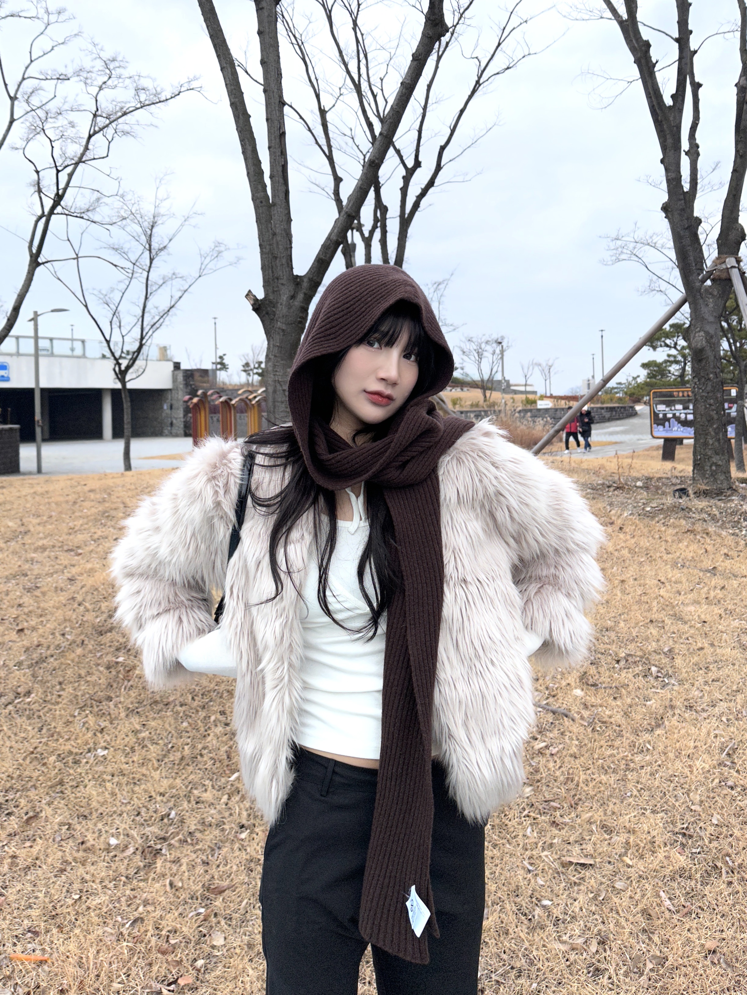 (W) UGG Classic Ultra Mini Platform Boots Chestnut 착용 스타일 - 1