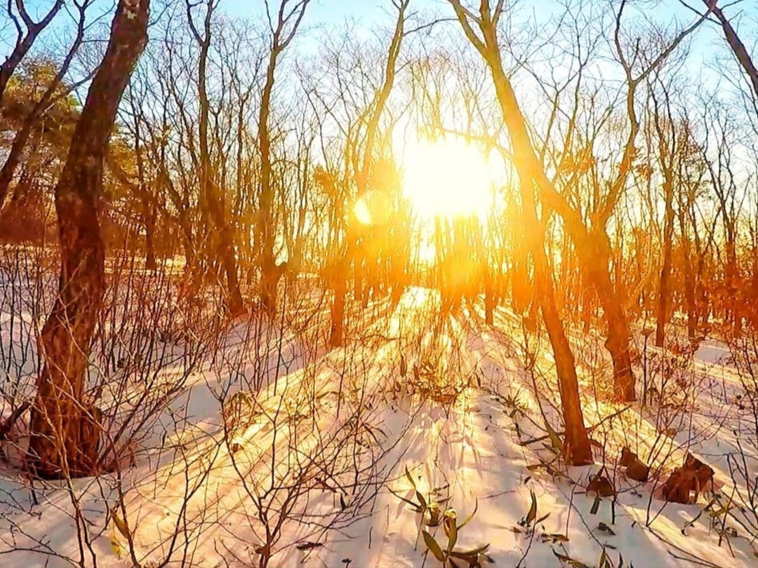 Nike x Travis Scott NRG AG Utility Hoodie Black, Nike x Travis Scott NRG AG Utility Sweatpants Black 착용 스타일 - 5