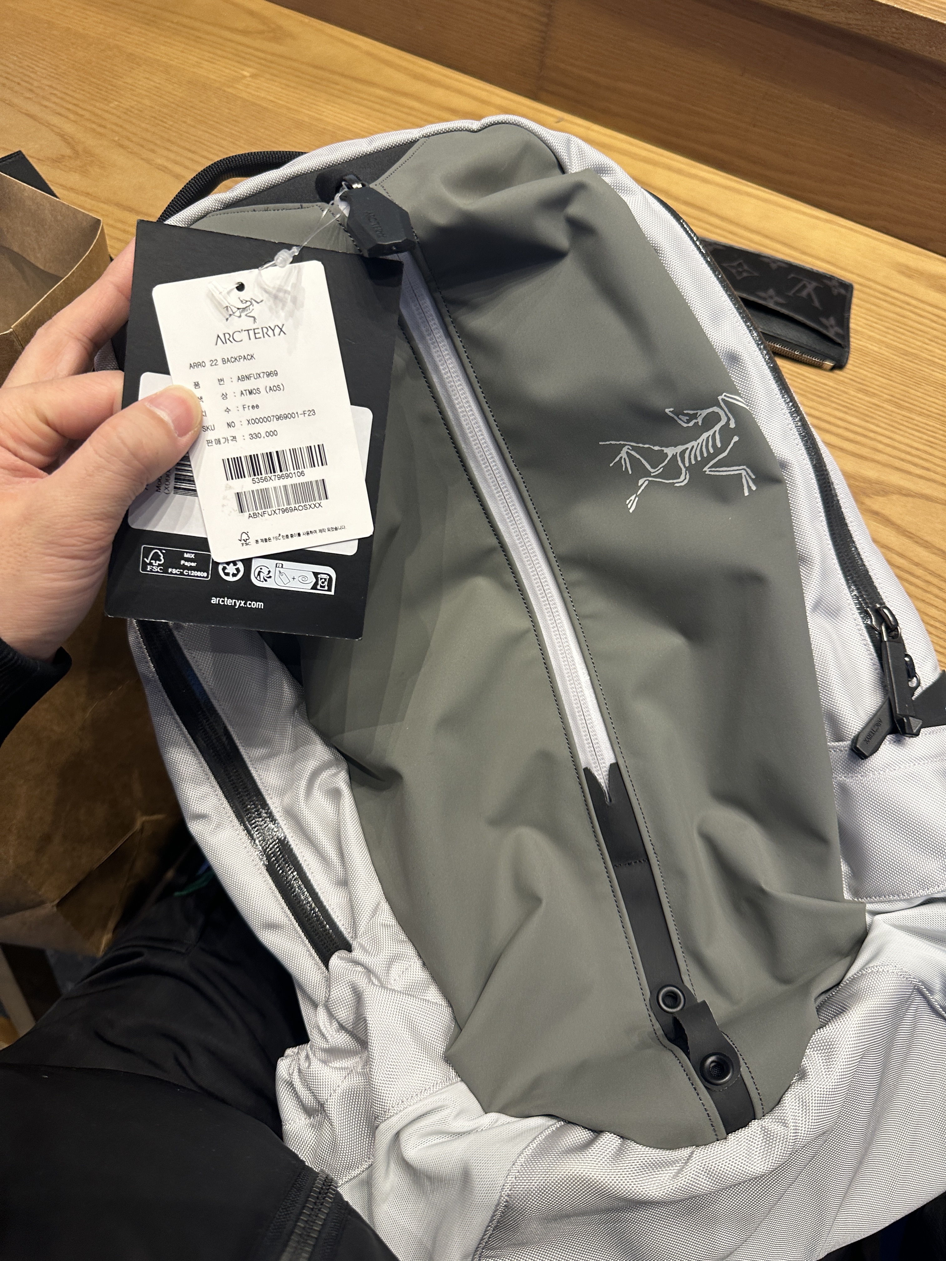 Arc'teryx Arro 22 Backpack 24K Black, Arc'teryx x Beams Arro 22 Rebird TM Backpack White 착용 스타일 - 2