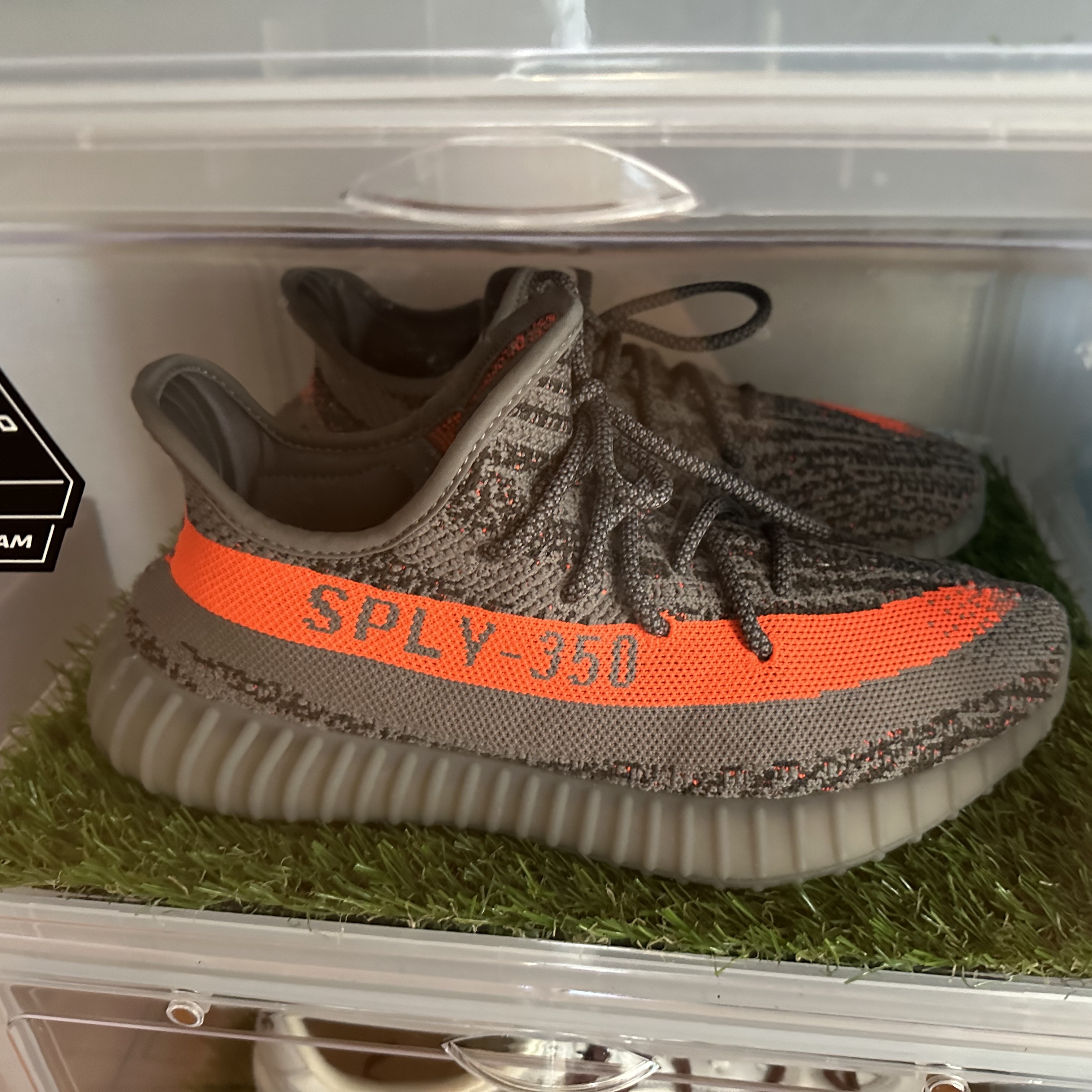 Adidas Yeezy Boost 350 V2 Beluga - Reflective 착용 스타일