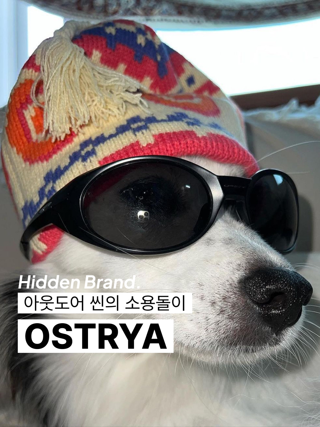 Ostrya Emblem Equi T-Shirt Pistachio, Ostrya Emblem Equi T-Shirt White 착용 스타일 - 1