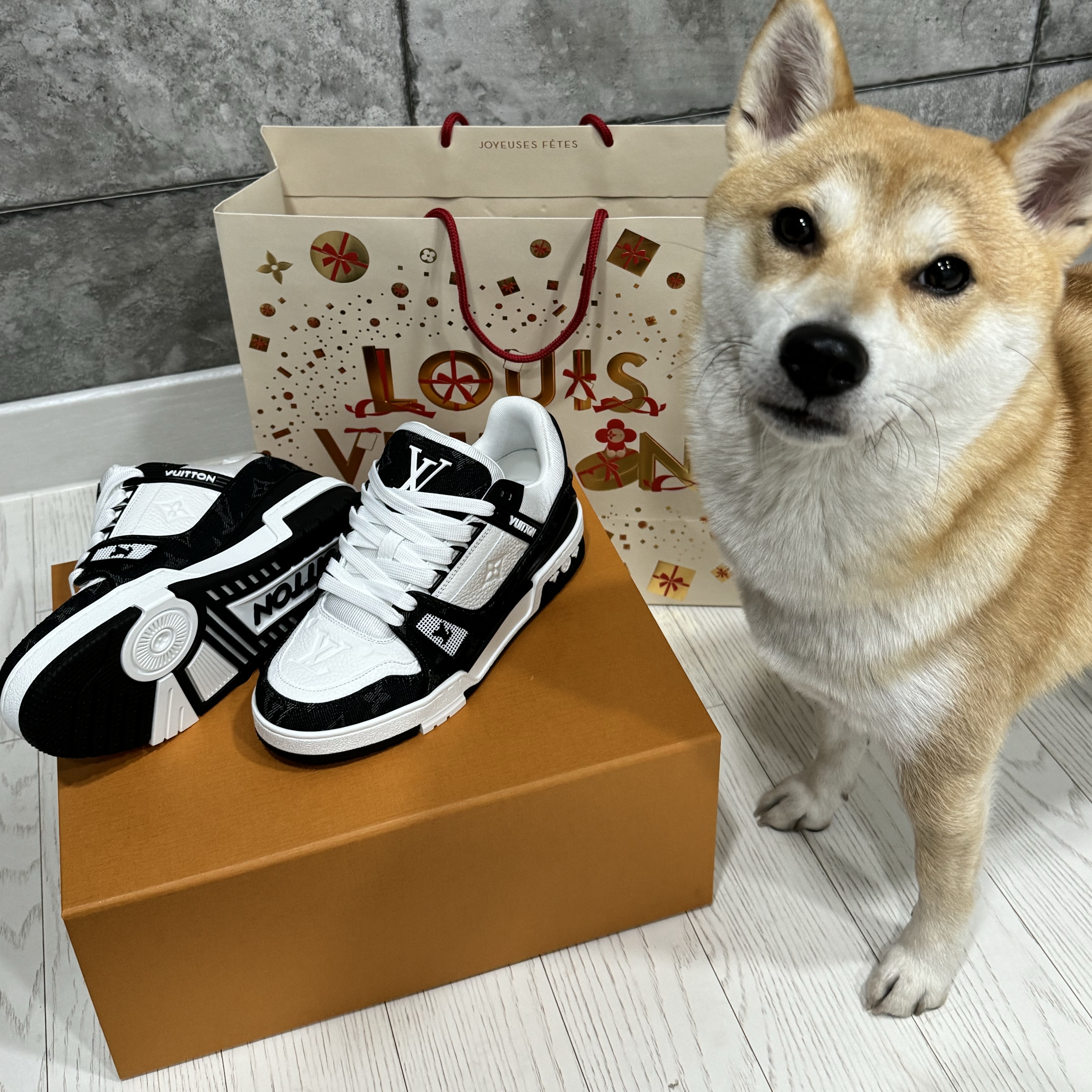 (W) Louis Vuitton LV Trainer Sneaker Black 착용 스타일 - 1