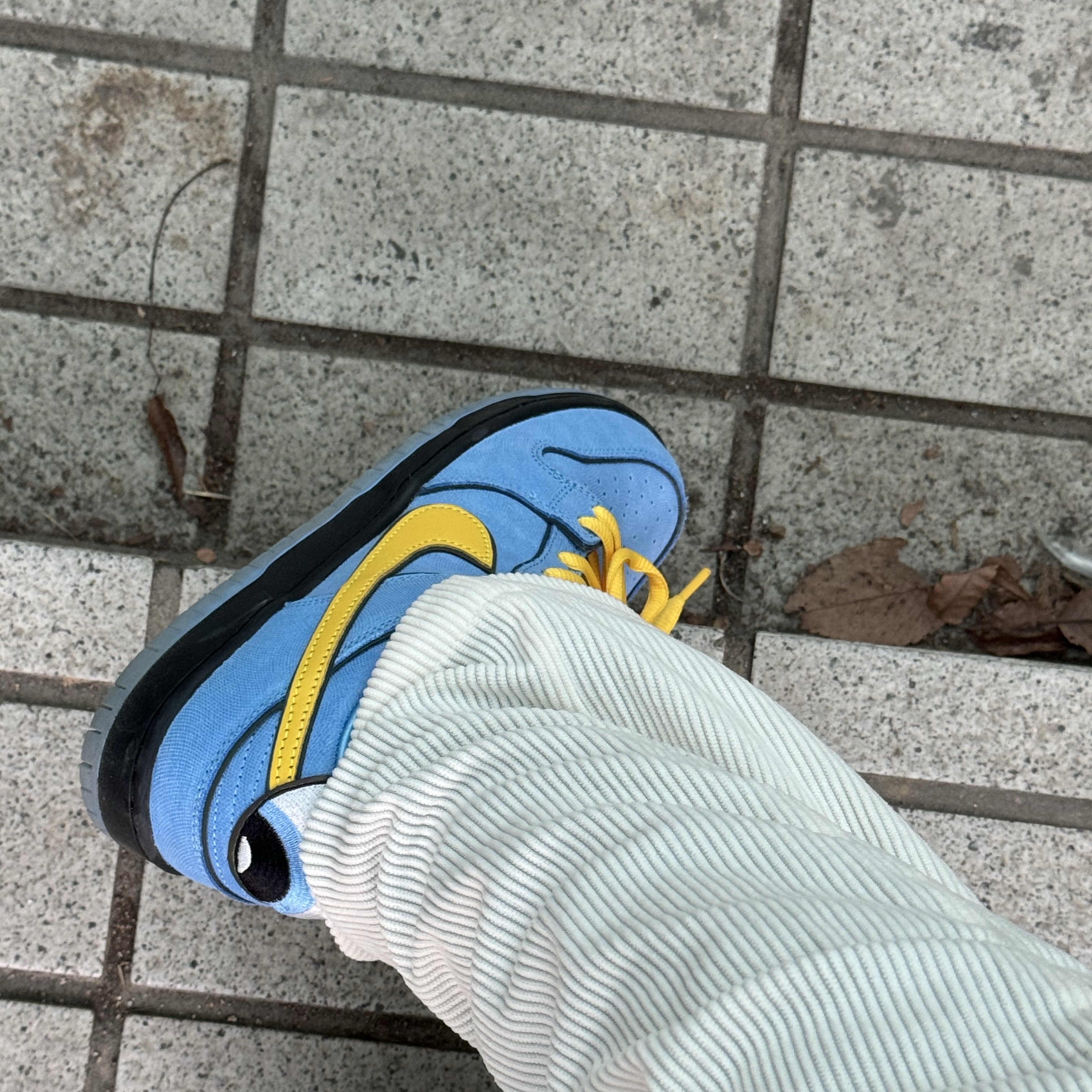 Nike x The Powerpuff Girls SB Dunk Low Pro QS Bubbles 착용 스타일