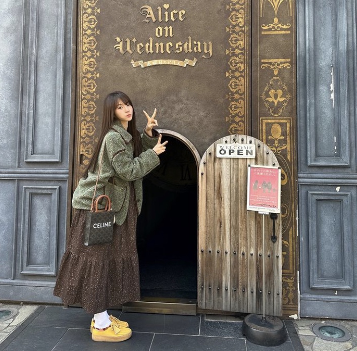 Celine Medium Vertical Cabas in Triomphe Canvas with Celine Print Black 착용 스타일