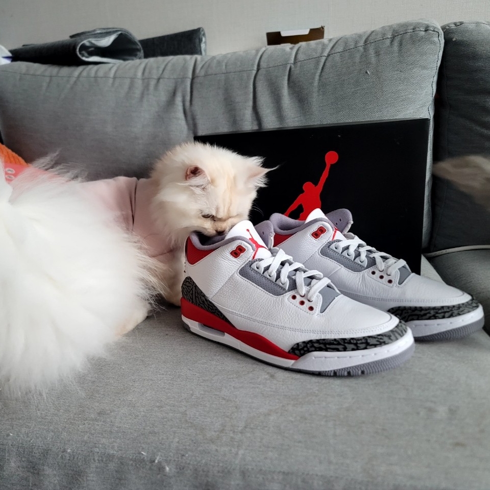 Jordan 3 Retro Fire Red 2022 착용 스타일 - 3