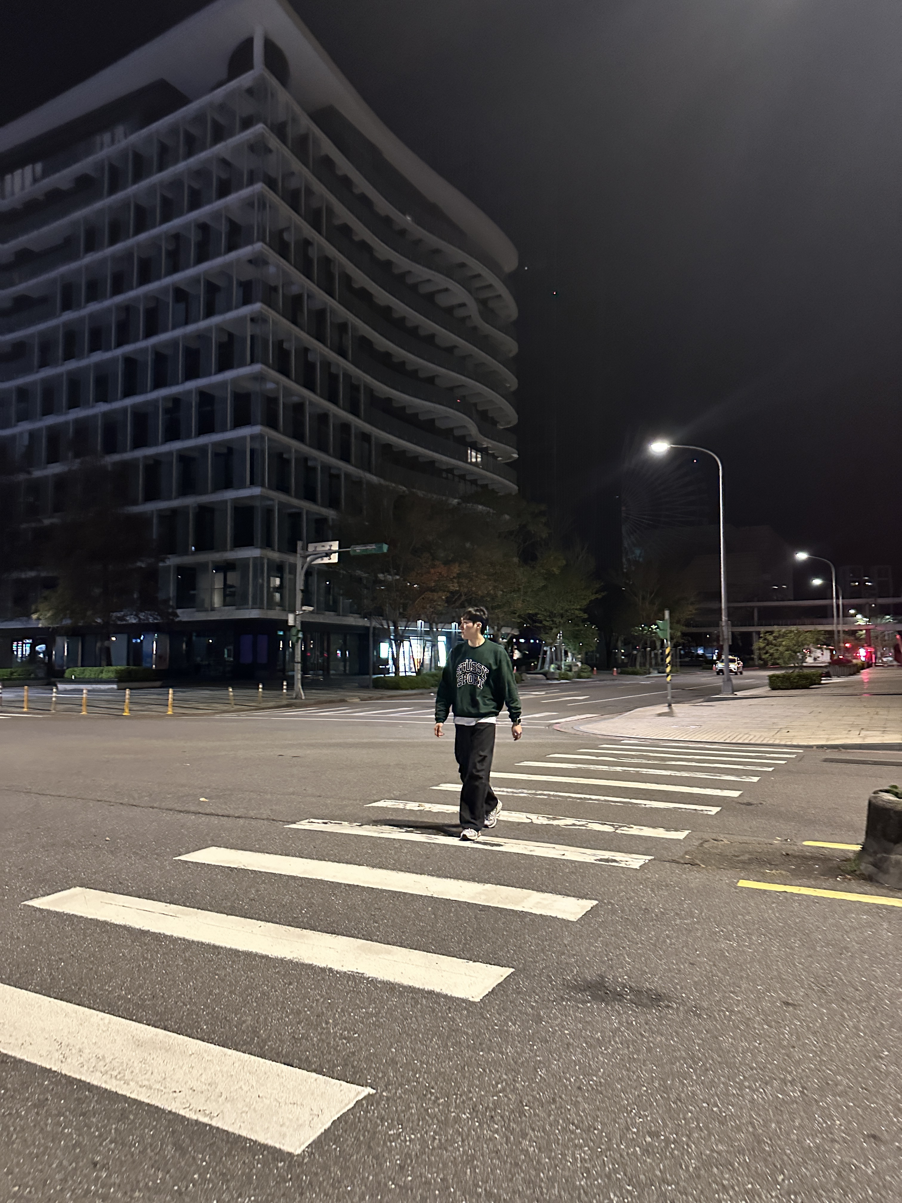 Stussy Sport Relaxed Oversized Crew Pine 착용 스타일