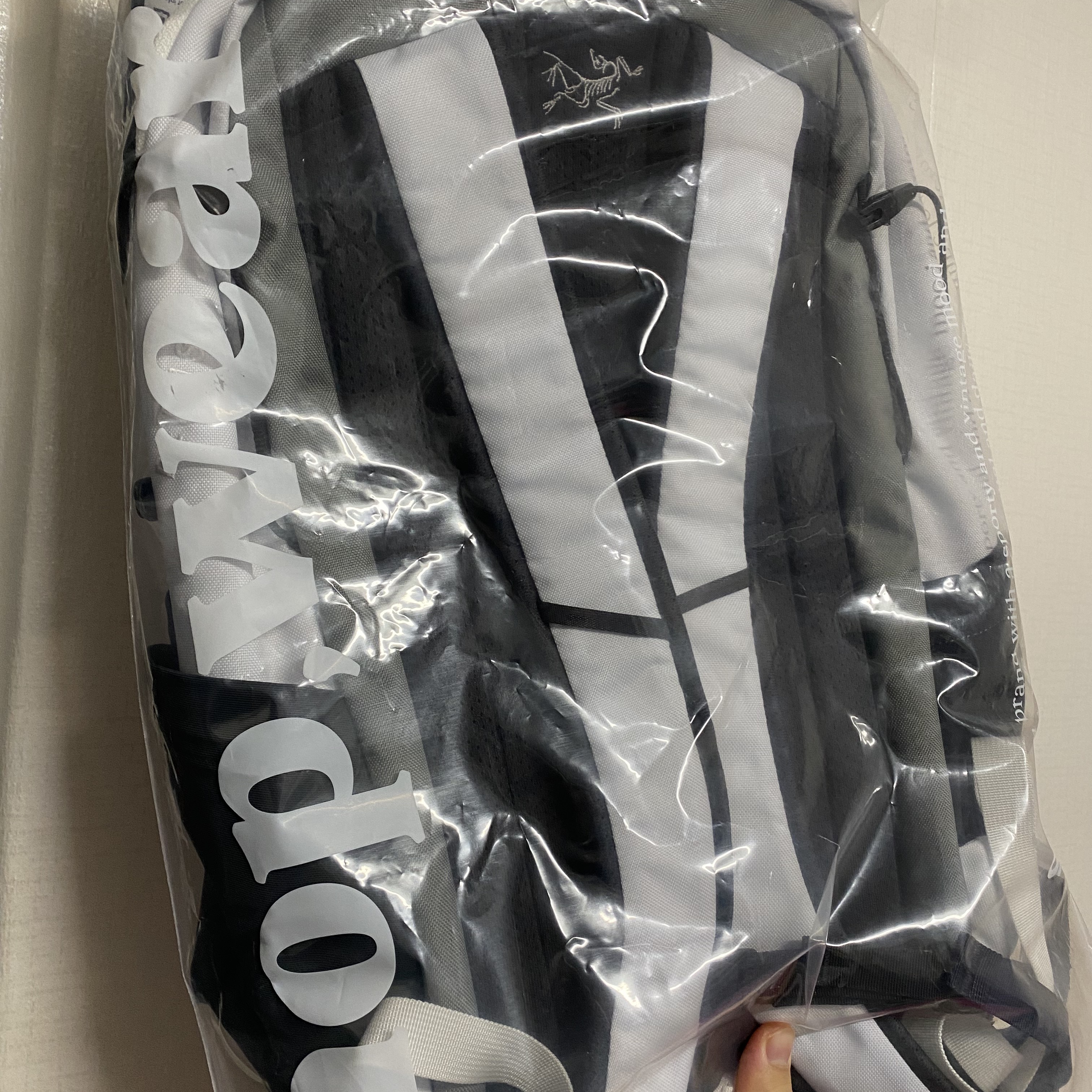Arc'teryx x Beams Mantis 26 Backpack Tranquil 착용 스타일