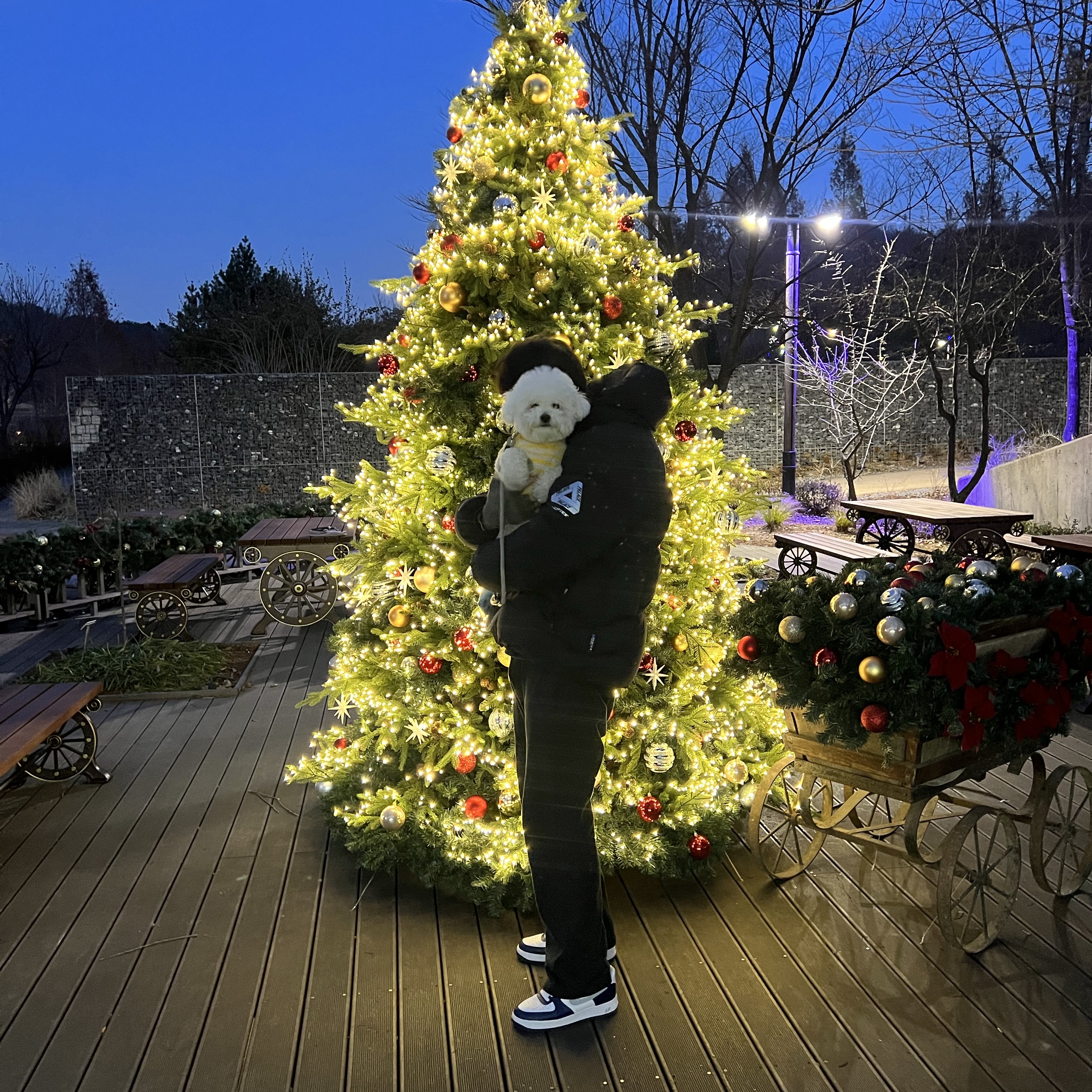 Palace Pertex Matte Balaclava Puffa Black - 23FW 착용 스타일