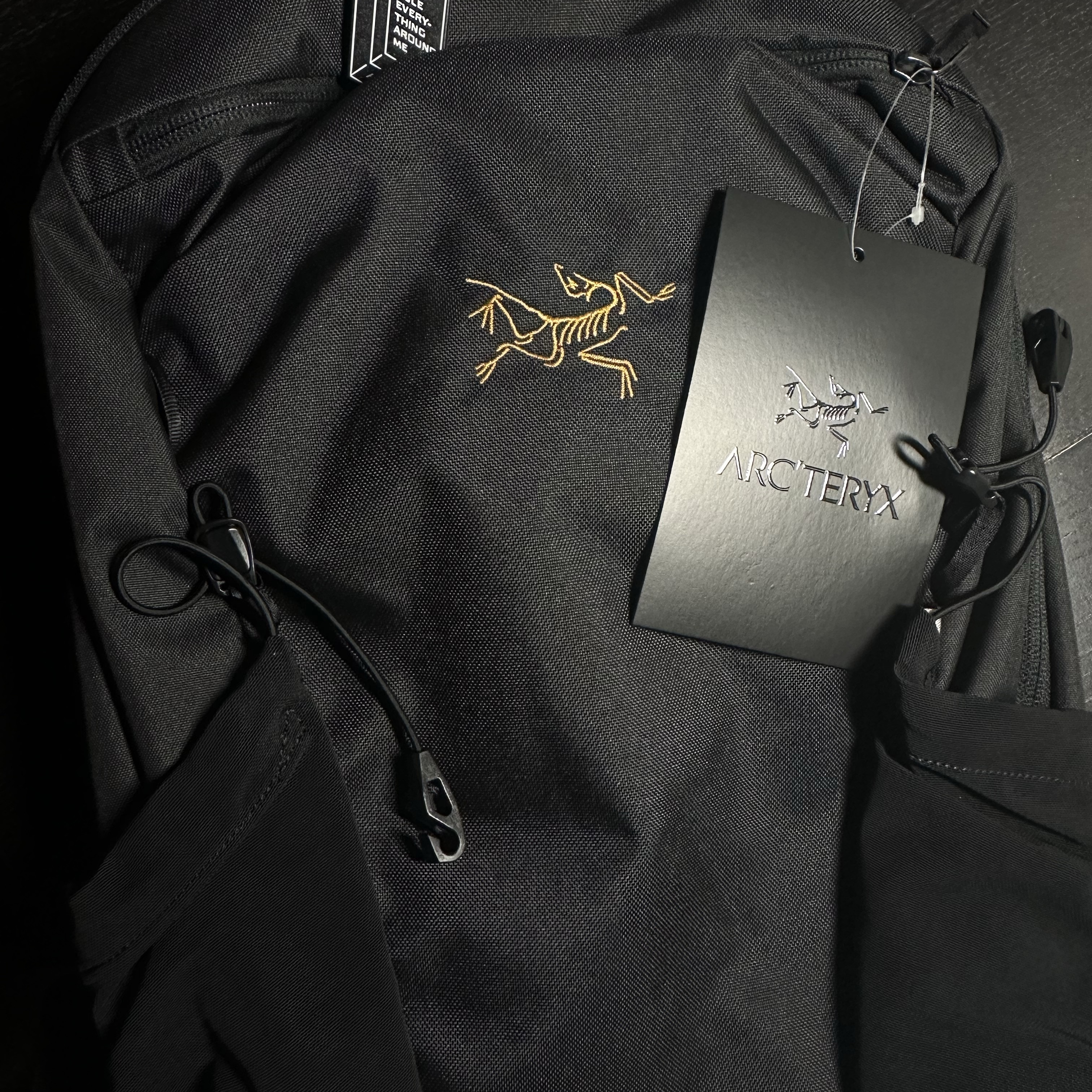 Arc'teryx Mantis 16 Backpack Black 착용 스타일 - 1