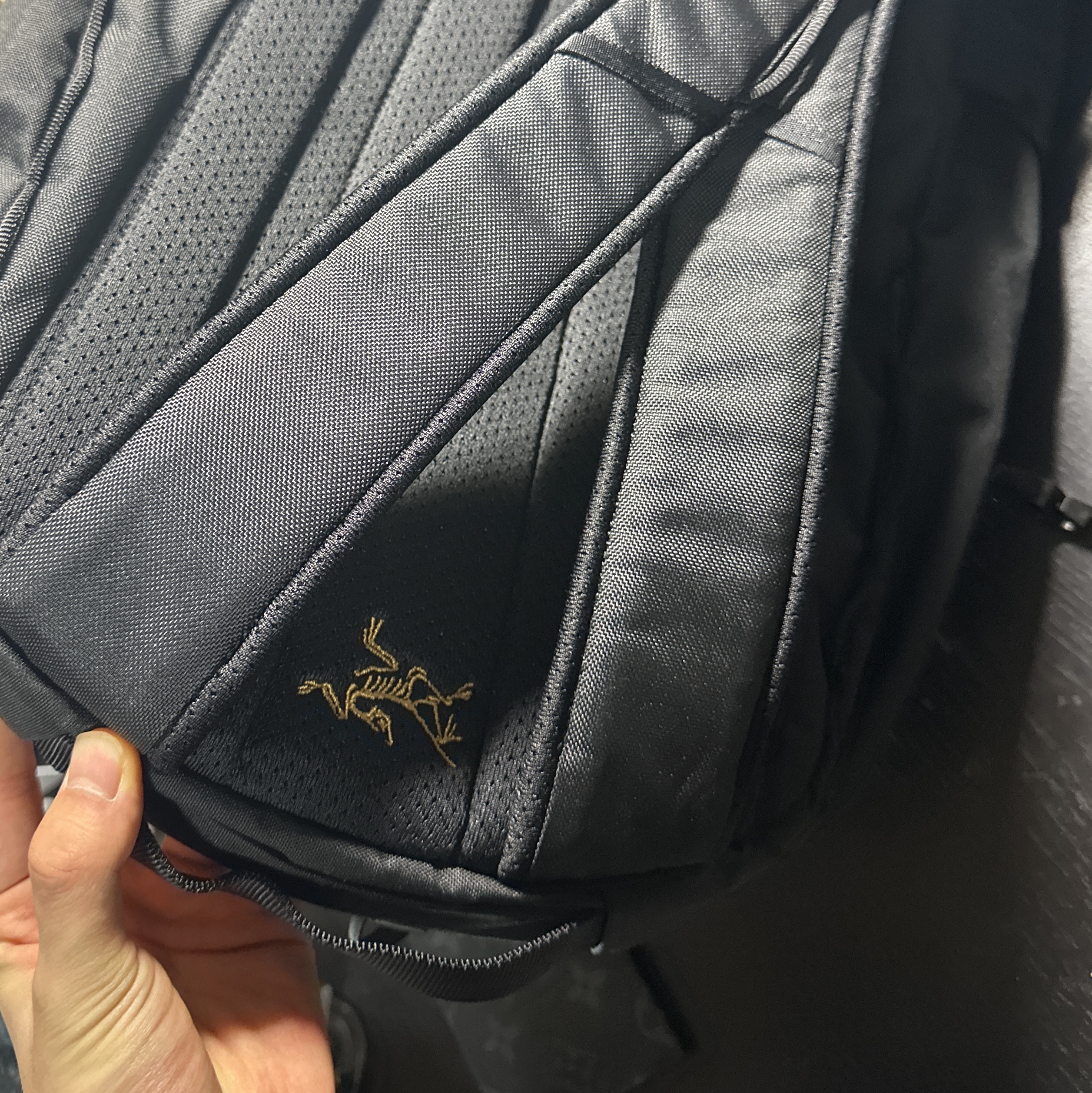 Arc'teryx Mantis 16 Backpack Black 착용 스타일 - 2