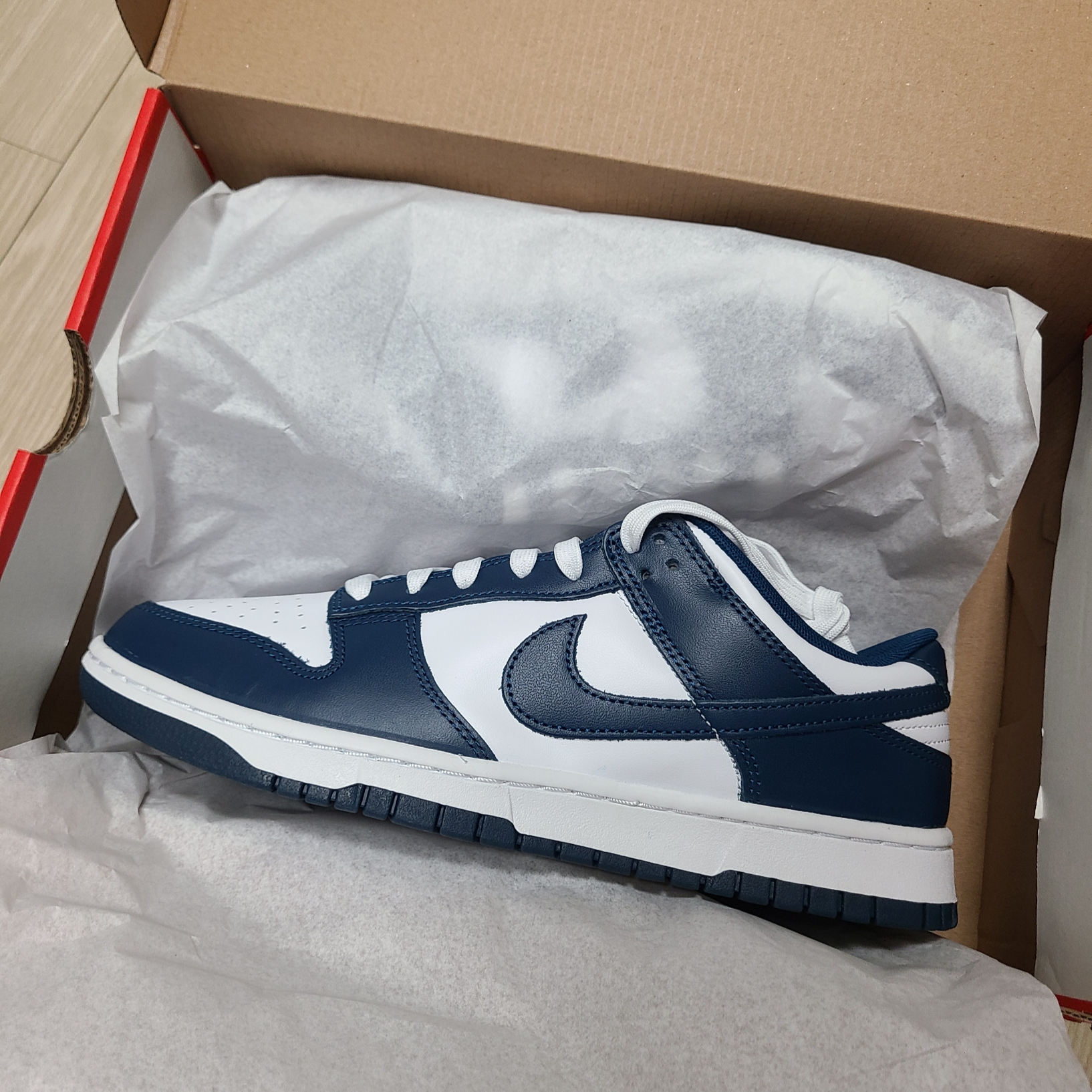 Nike Dunk Low Retro Valerian Blue 착용 스타일