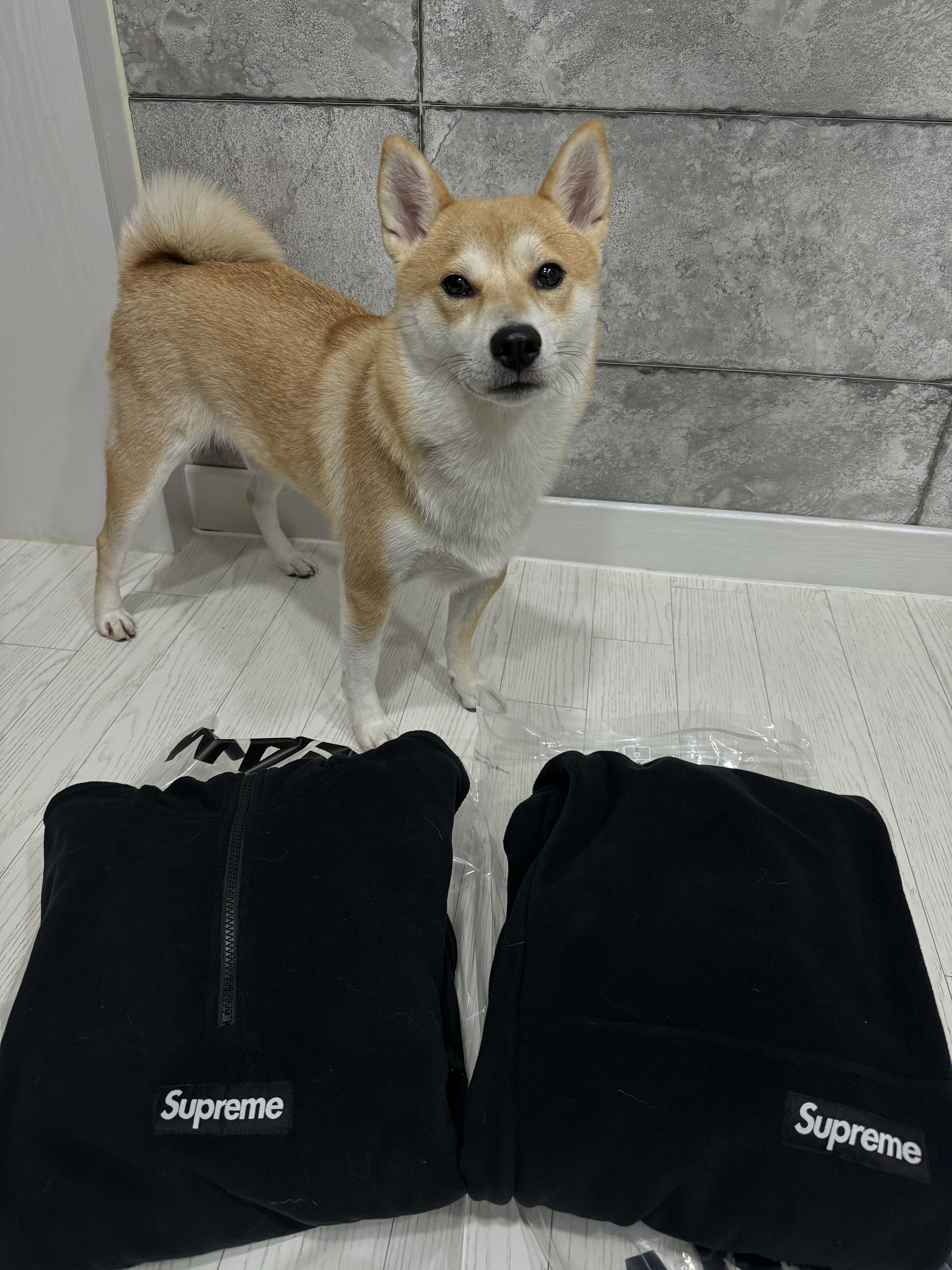 Supreme Polartec Pants Black - 23FW, Supreme Polartec Facemask Half Zip Hooded Sweatshirt Black - 23FW 착용 스타일 - 1