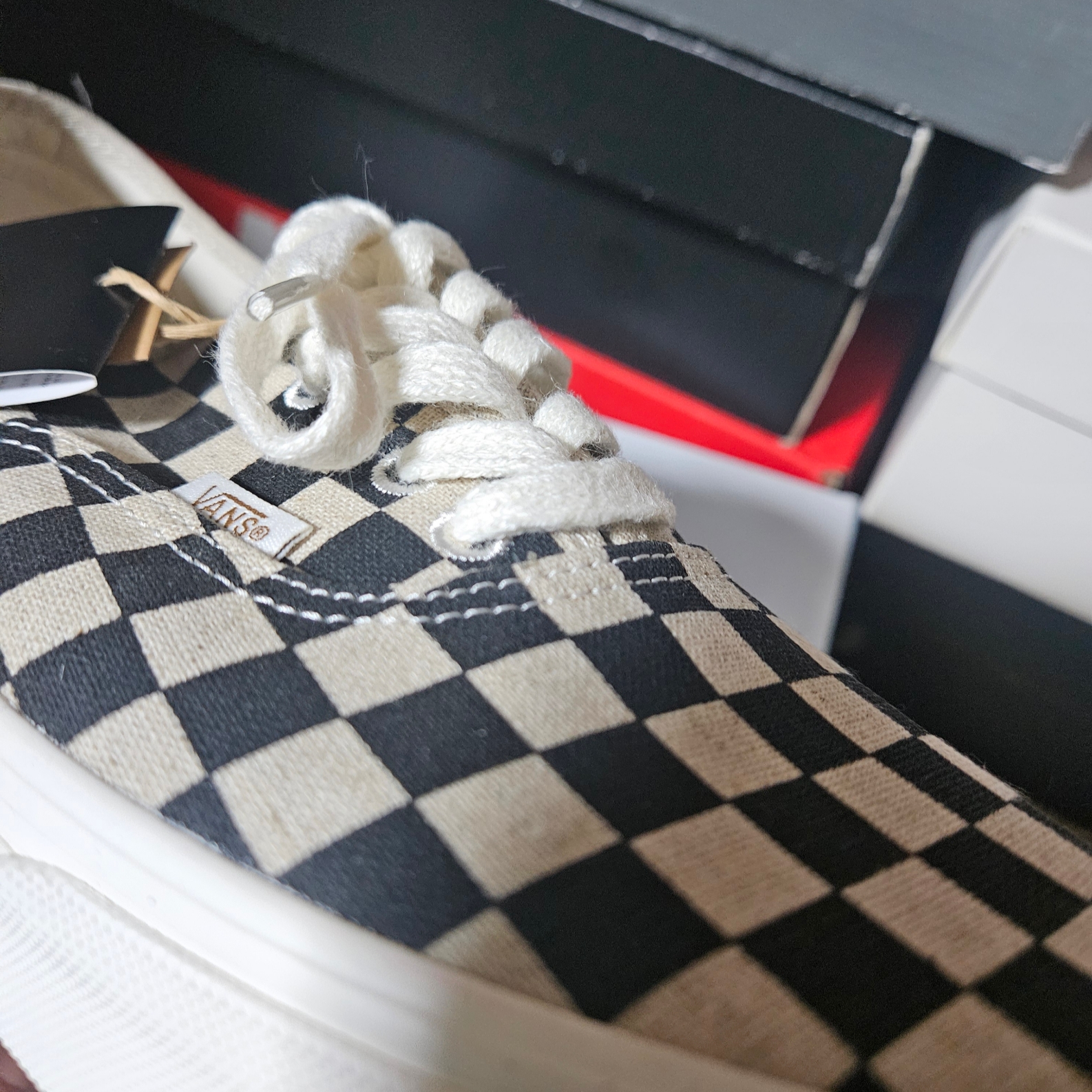 Vans Authentic Eco Theory Checkerboard Black 착용 스타일