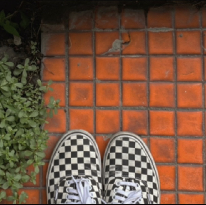 Vans Authentic Golden Coast Checkerboard 착용 스타일