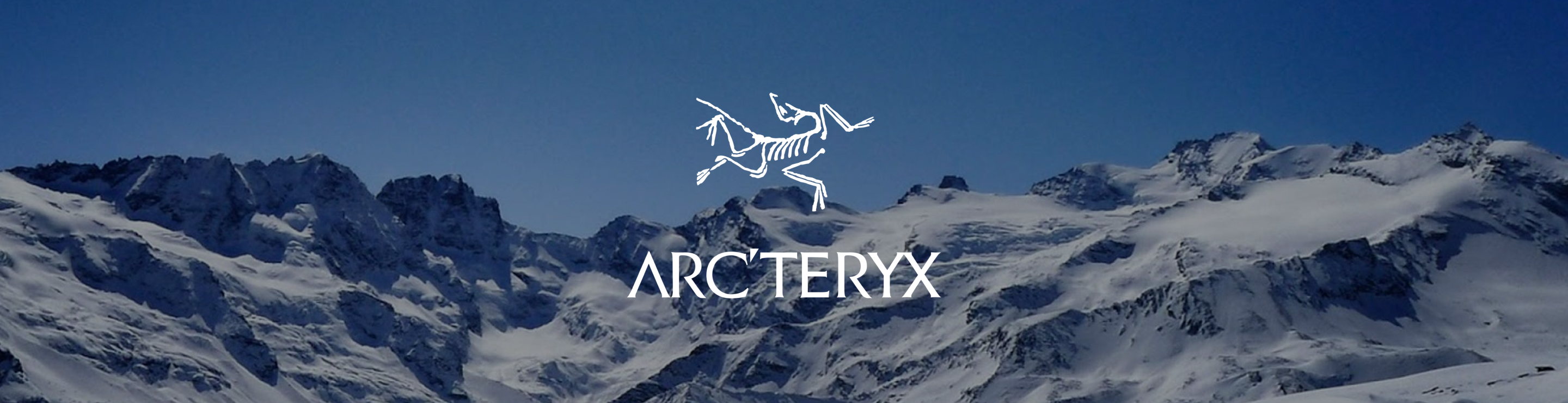 아크테릭스(arc'teryx)