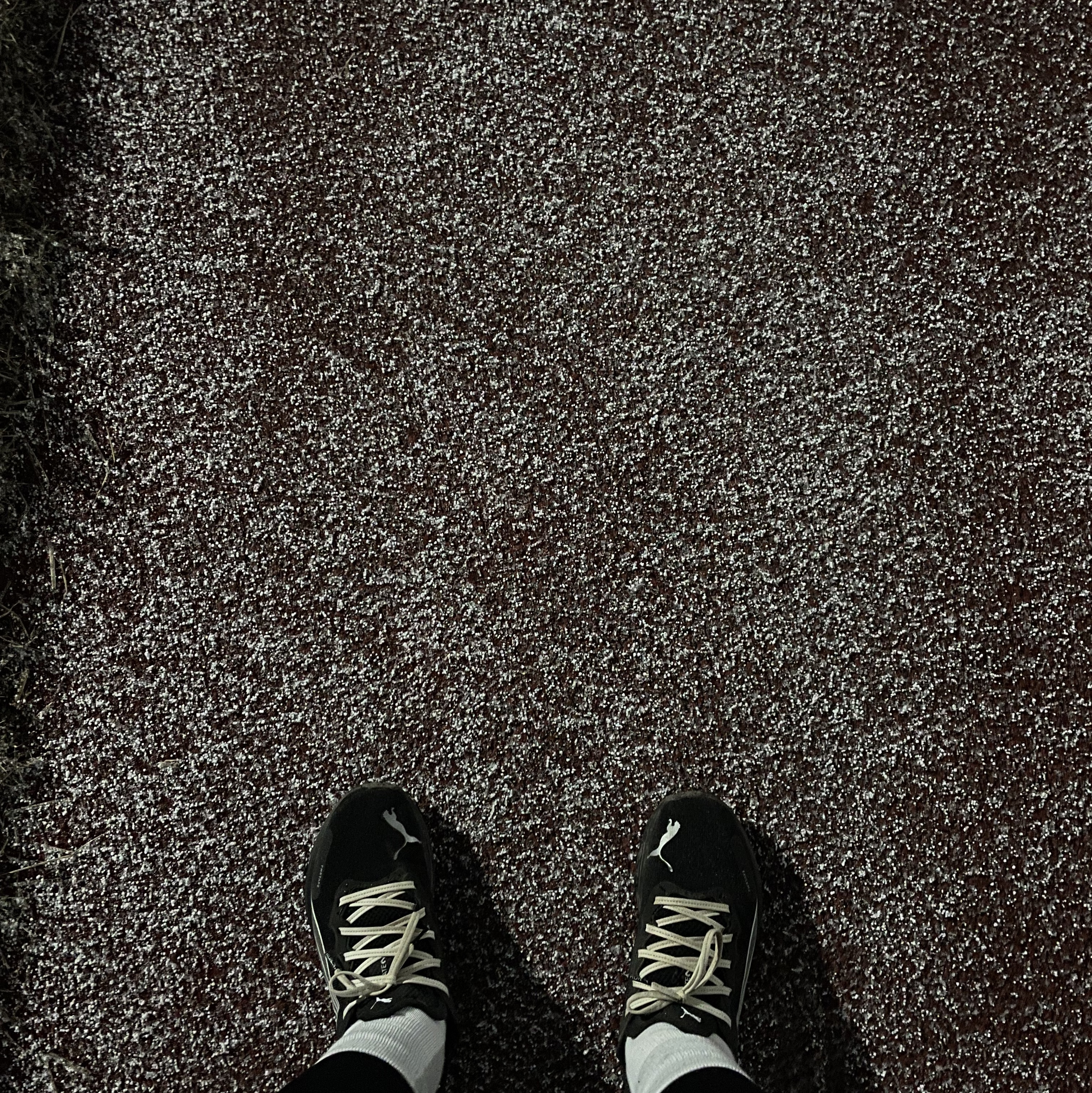 Puma x Balansa Deviate Nitro 2 Black White 착용 스타일