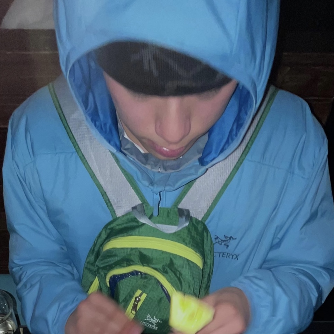 Arc'teryx Atom LT Hoody Solace 착용 스타일 - 1
