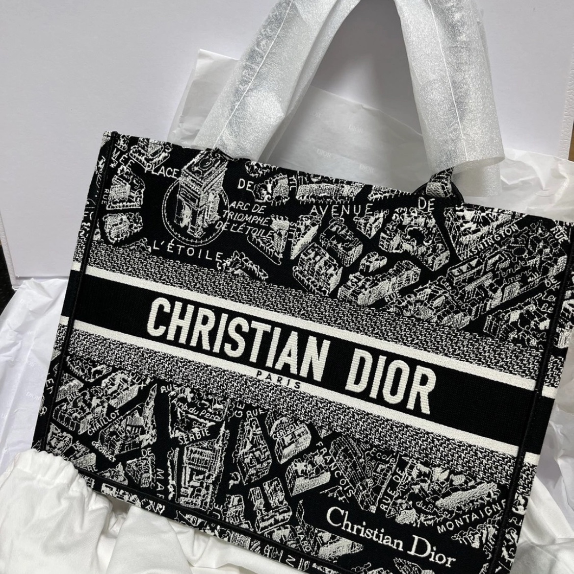 Dior Small Book Tote Blue Dior Oblique Embroidery 착용 스타일