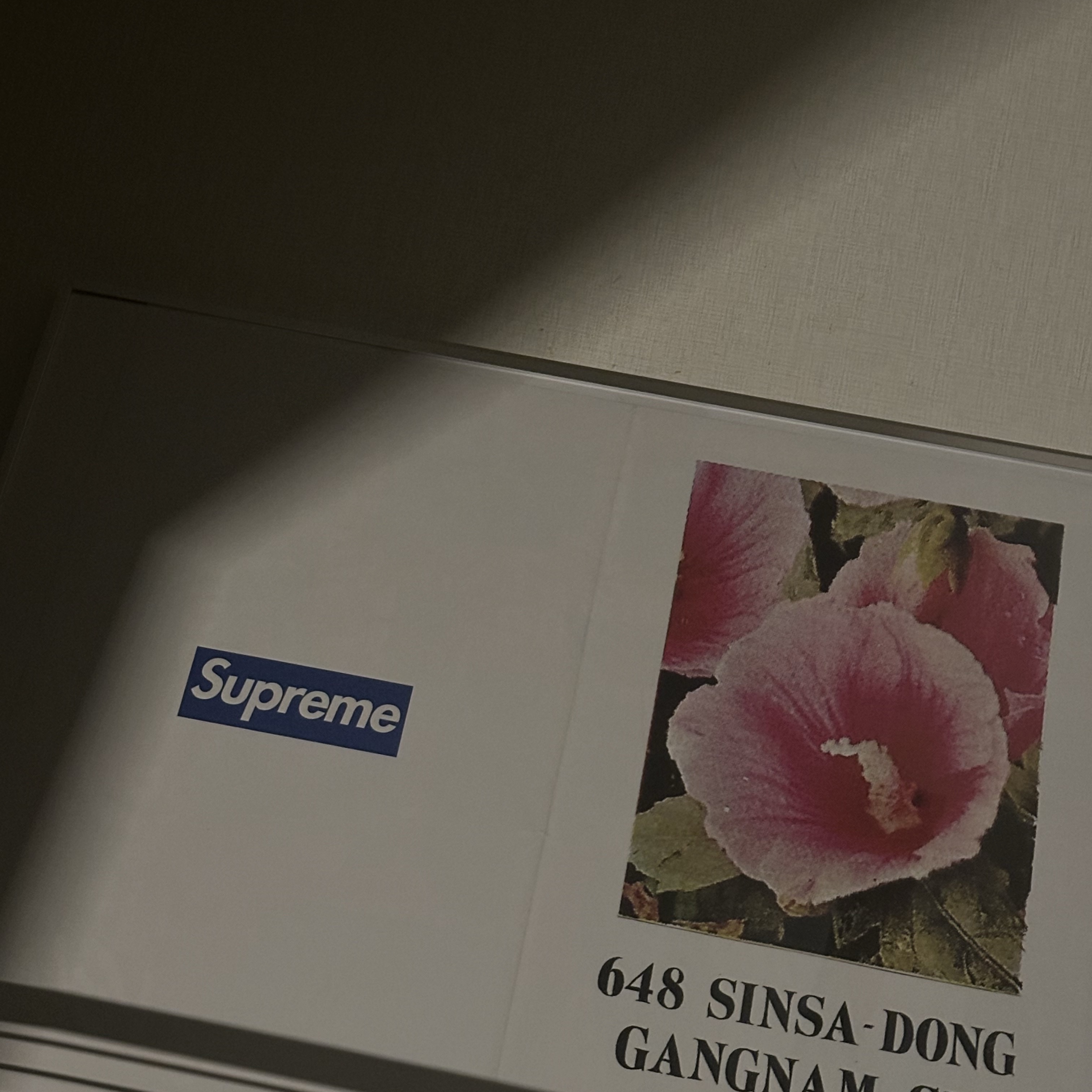 Supreme x Visla Magazine Supreme Special Issue 착용 스타일 - 1