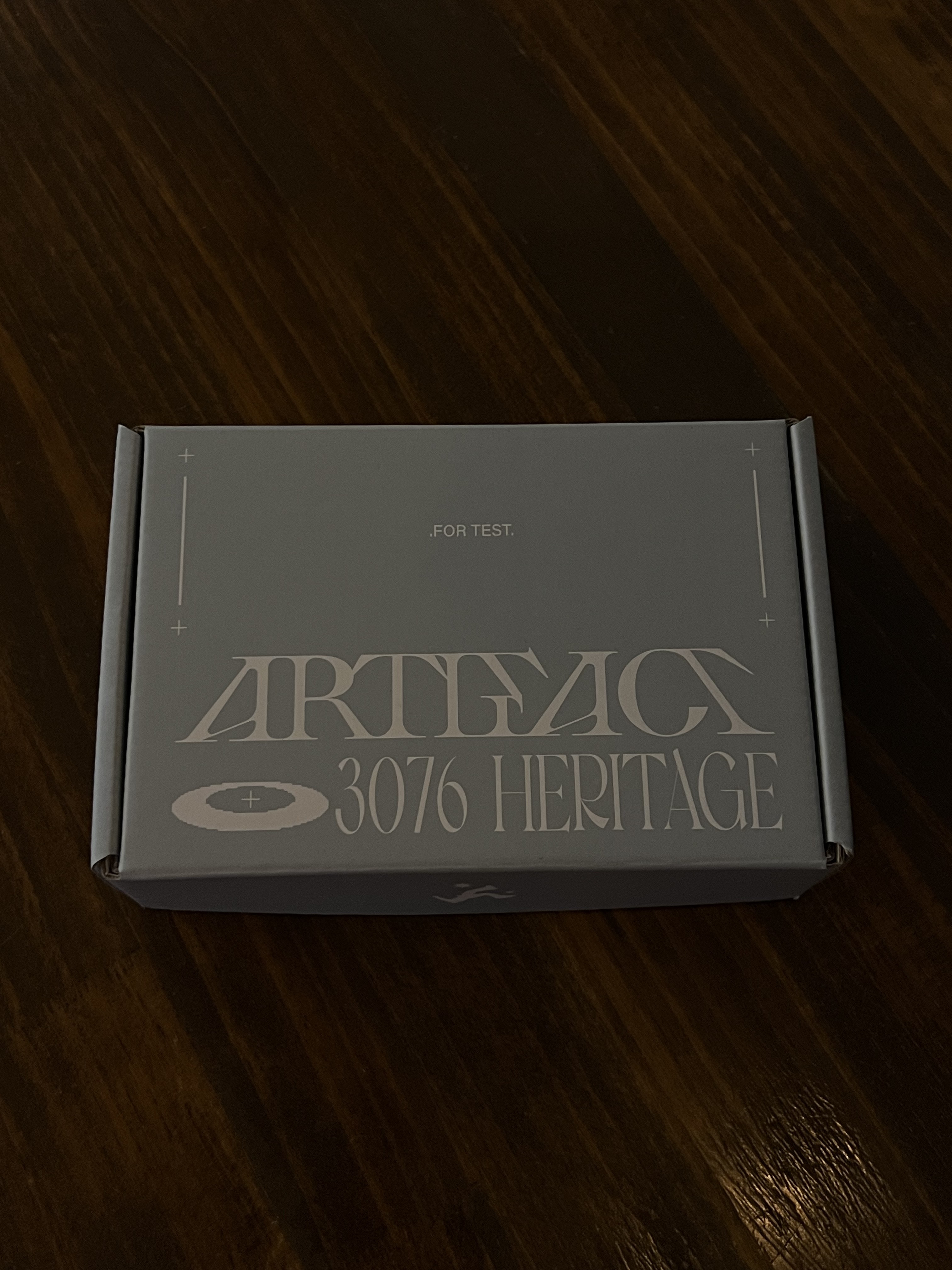 Test Artifact TASH Dubre 006 Steel 착용 스타일 - 5