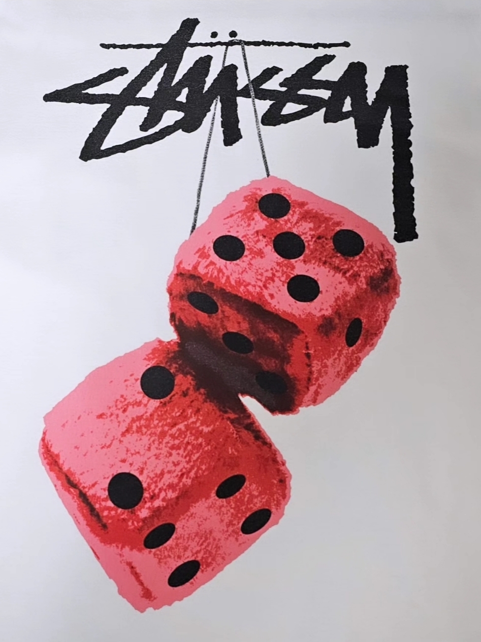 Stussy Fuzzy Dice T-Shirt White 착용 스타일