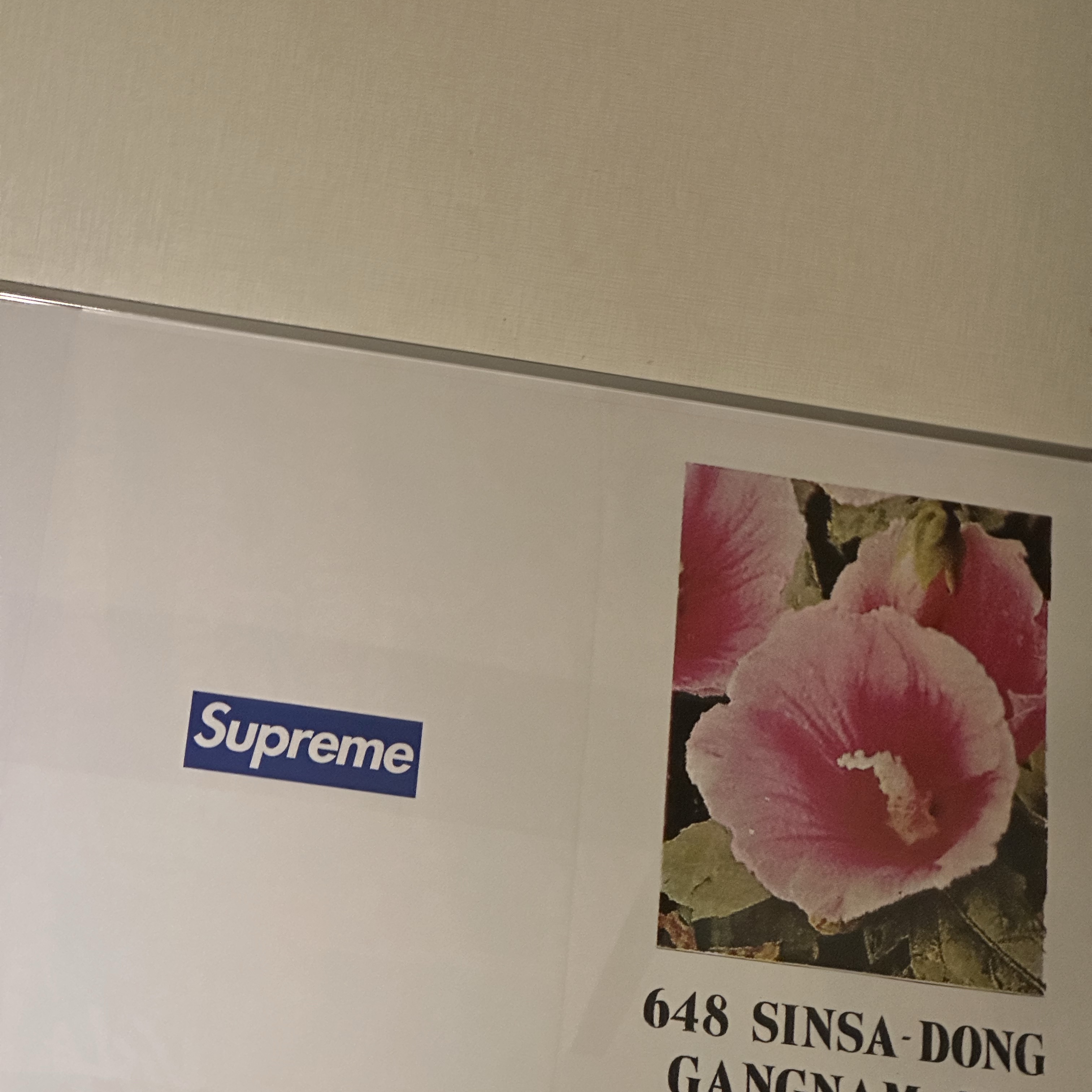 Supreme x Visla Magazine Supreme Special Issue 착용 스타일 - 2
