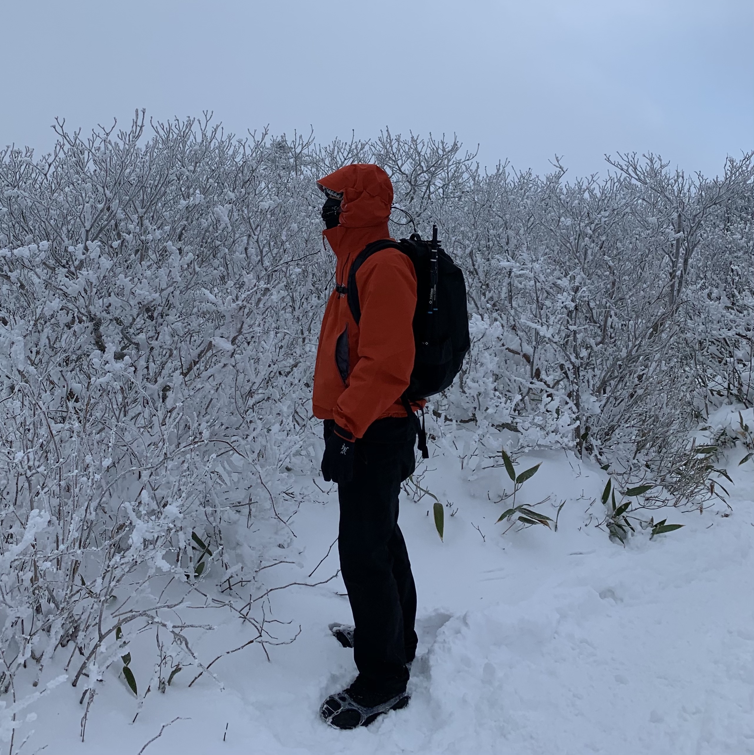 Arc'teryx Beta LT Jacket Phenom 착용 스타일