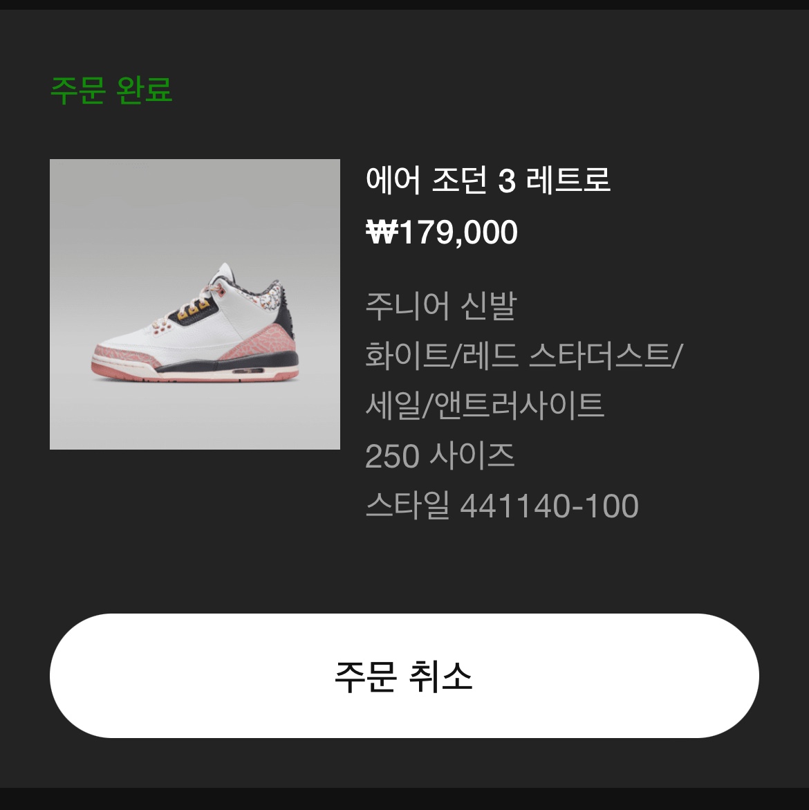 (GS) Jordan 3 Retro Vintage Floral 착용 스타일