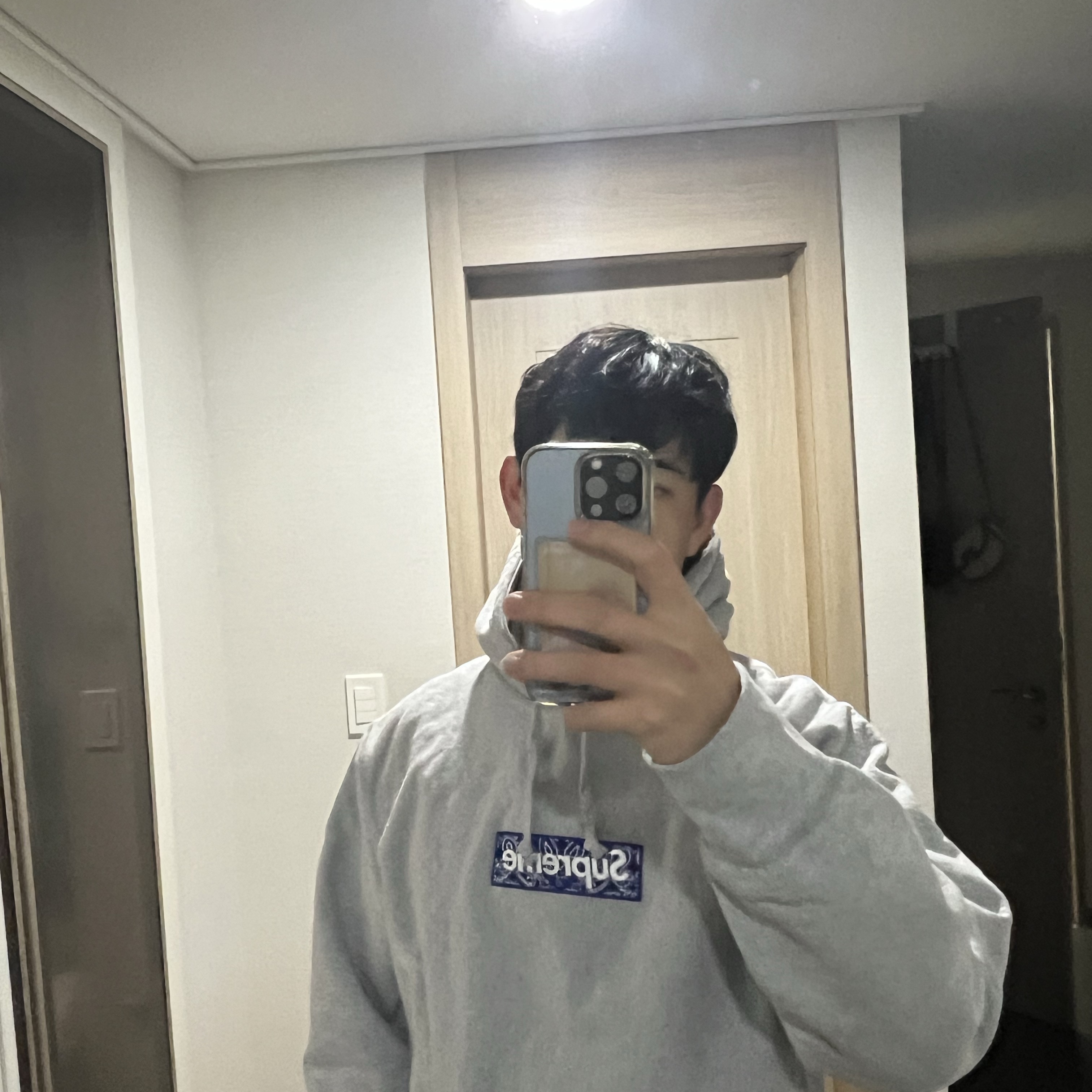 Supreme Bandana Box Logo Hooded Sweatshirt Heather Grey - 19FW 착용 스타일