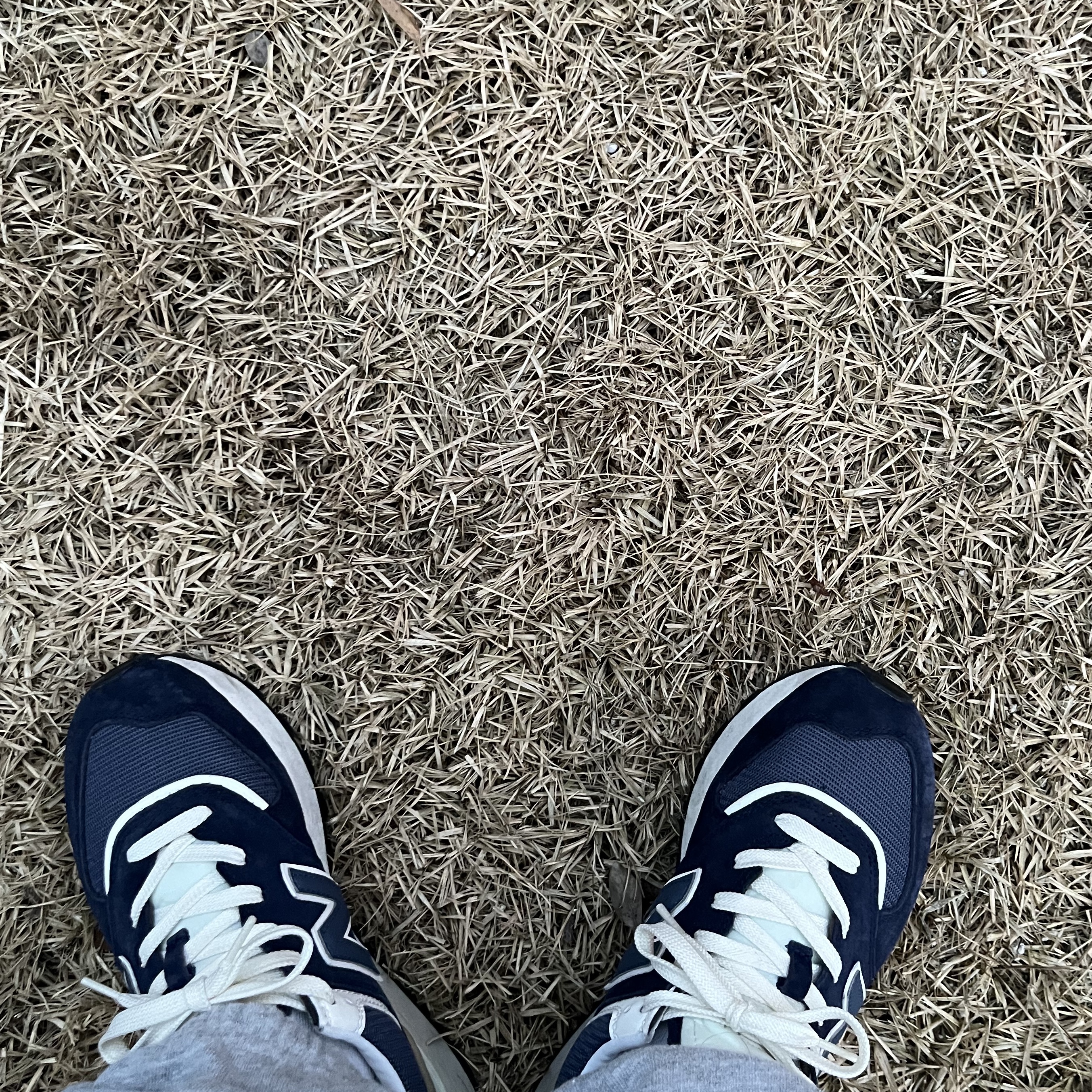 New Balance 574 Legacy Navy 착용 스타일