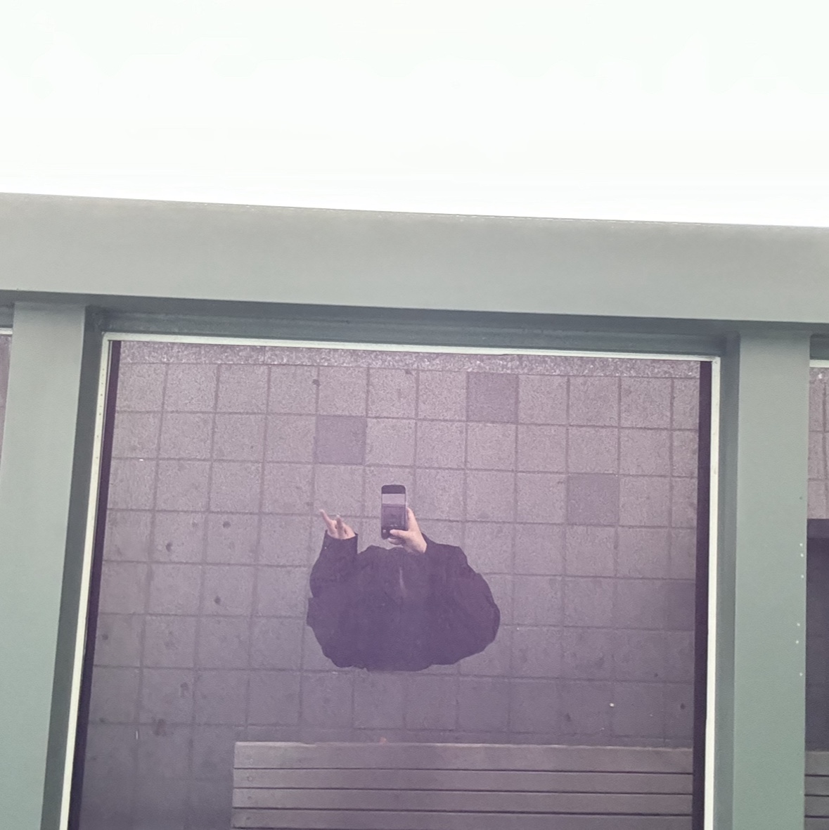 X_o님의 스타일