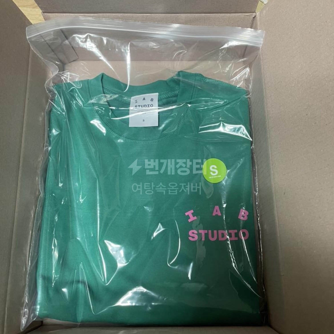 IAB Studio T-Shirt Green Pink 착용 스타일