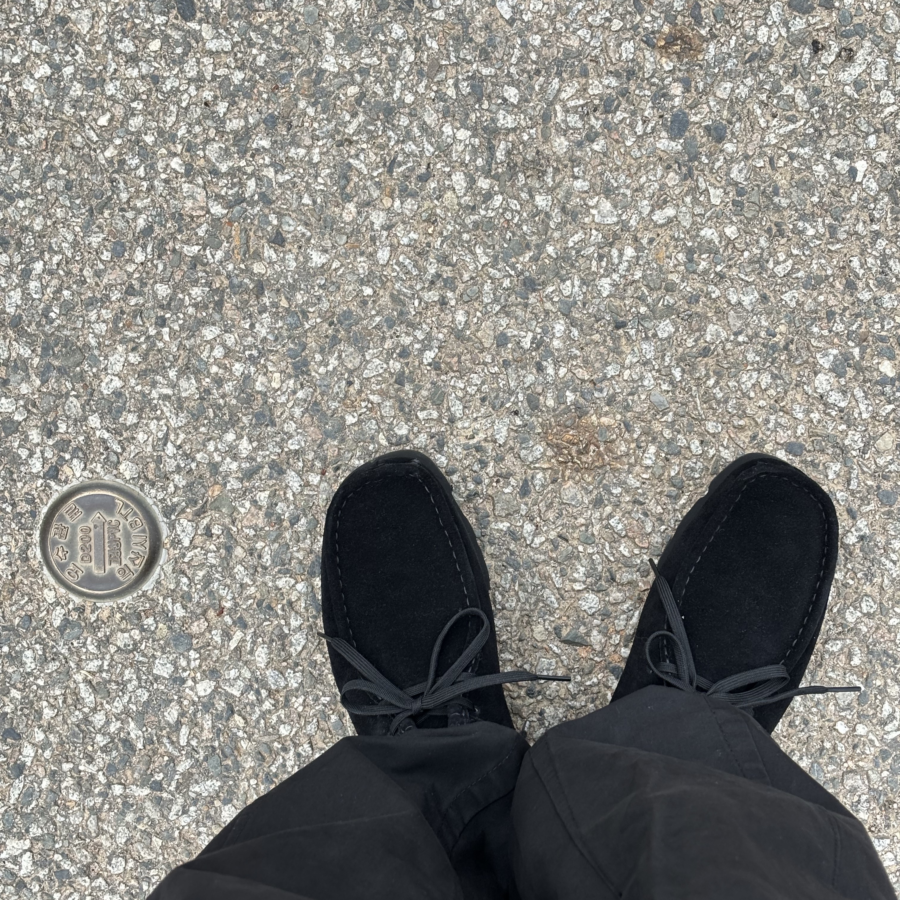 Clarks Wallabee Gore-Tex Black Suede 착용 스타일